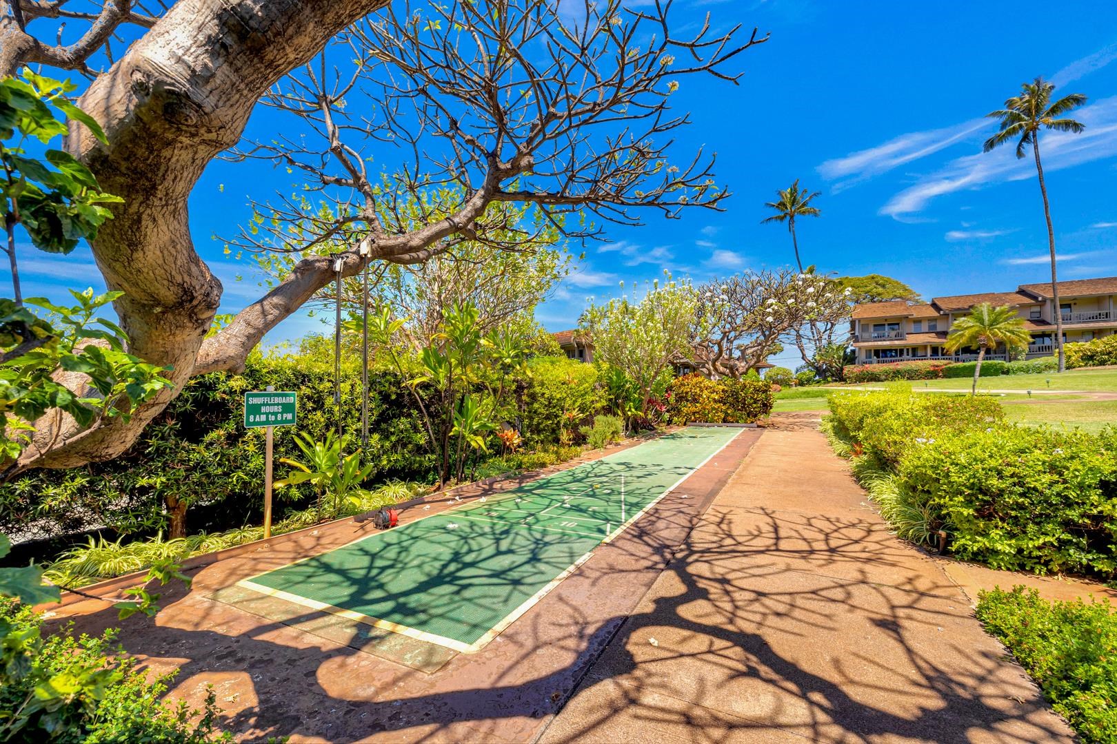 Kaanapali Plantation condo # 18, Lahaina, Hawaii - photo 47 of 49