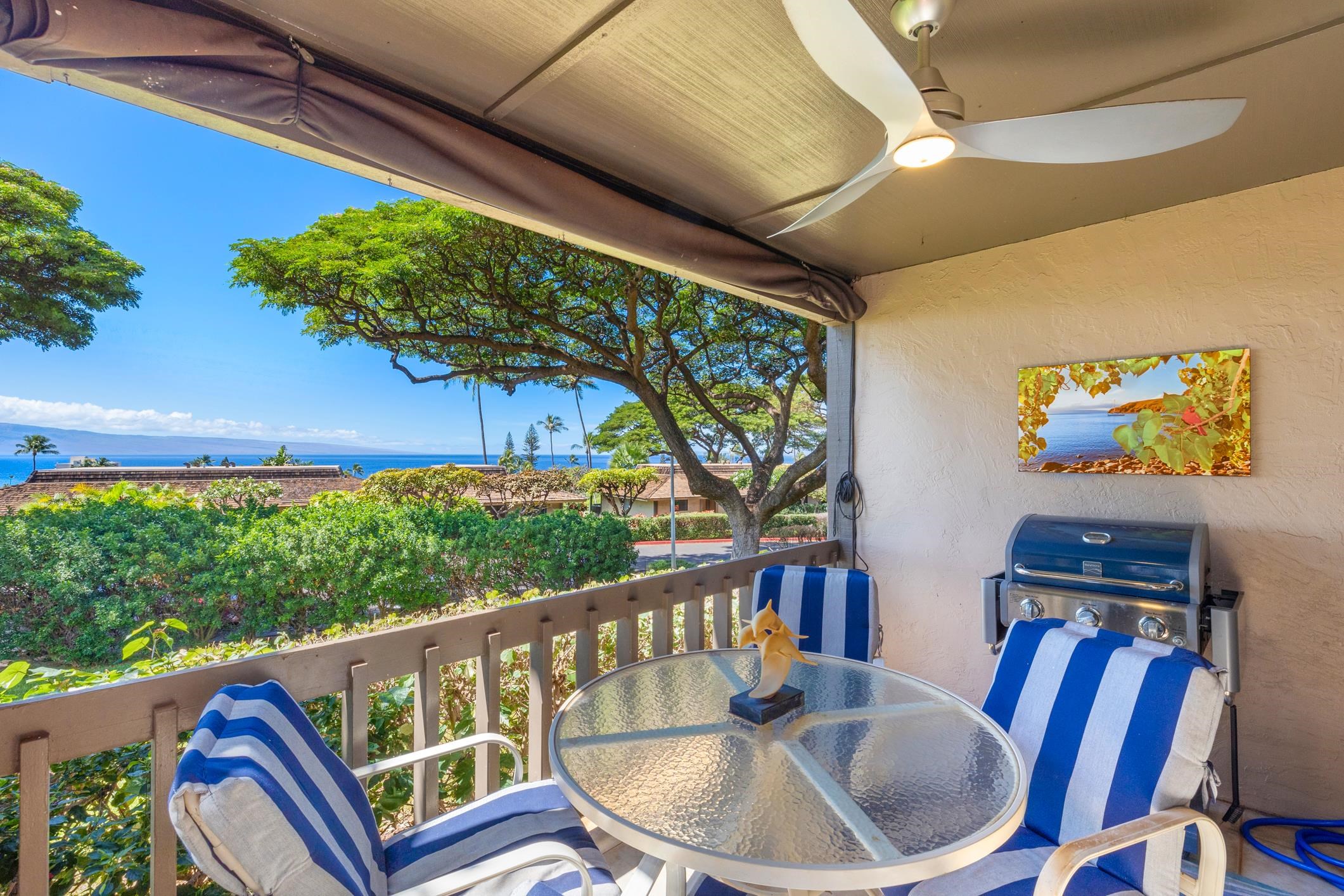 Kaanapali Plantation condo # 18, Lahaina, Hawaii - photo 19 of 49