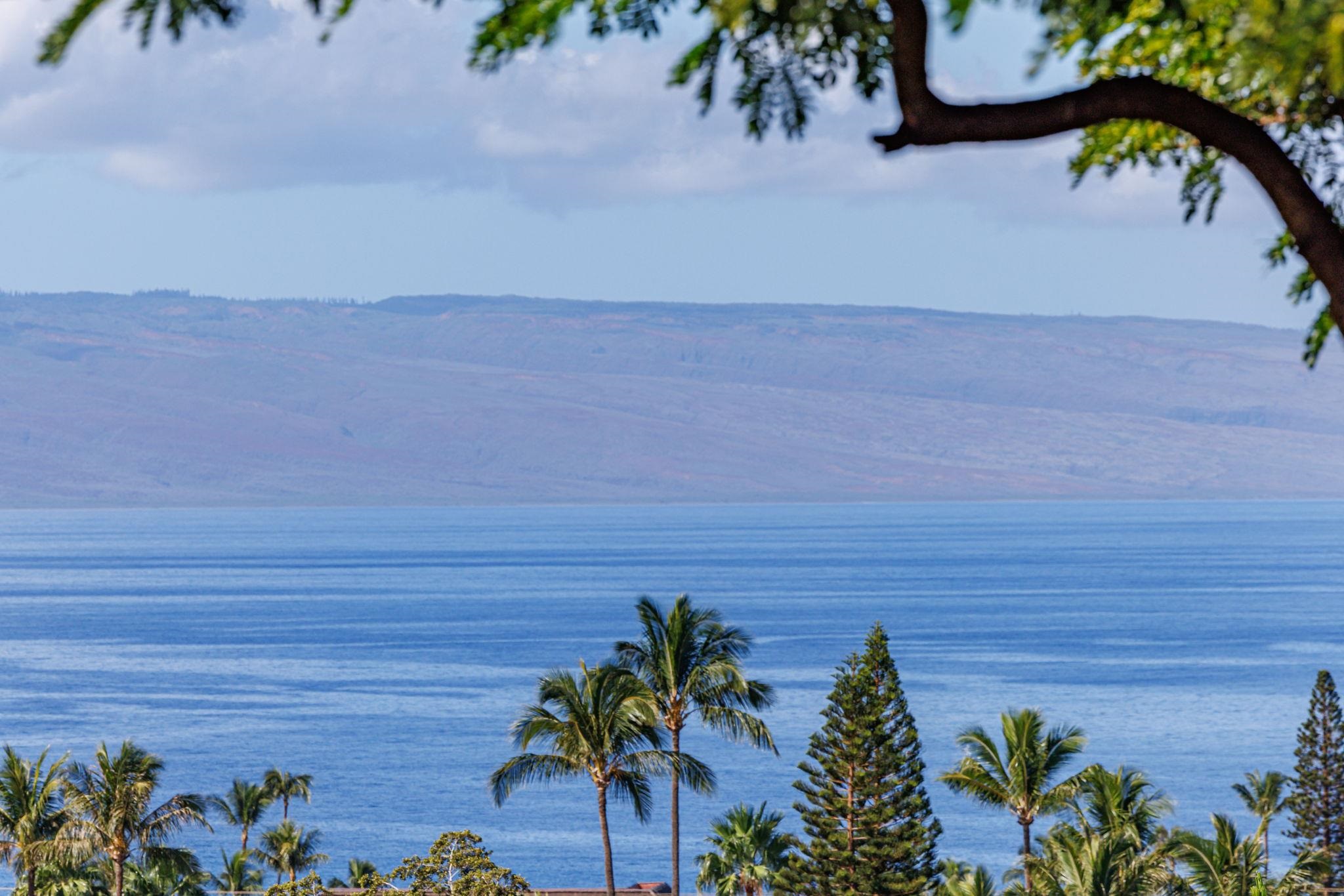 Kaanapali Plantation condo # 18, Lahaina, Hawaii - photo 4 of 49