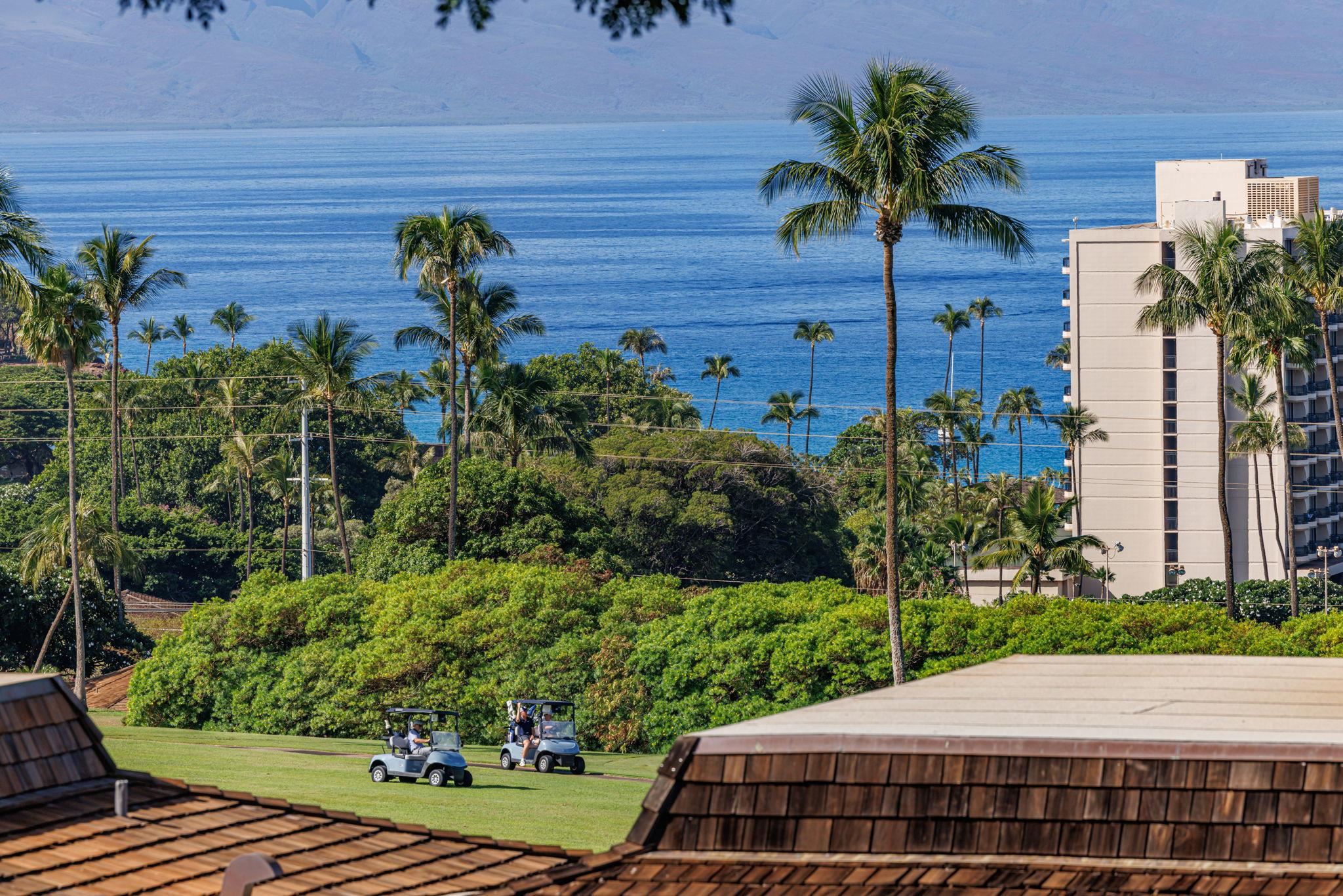 Kaanapali Plantation condo # 18, Lahaina, Hawaii - photo 48 of 49