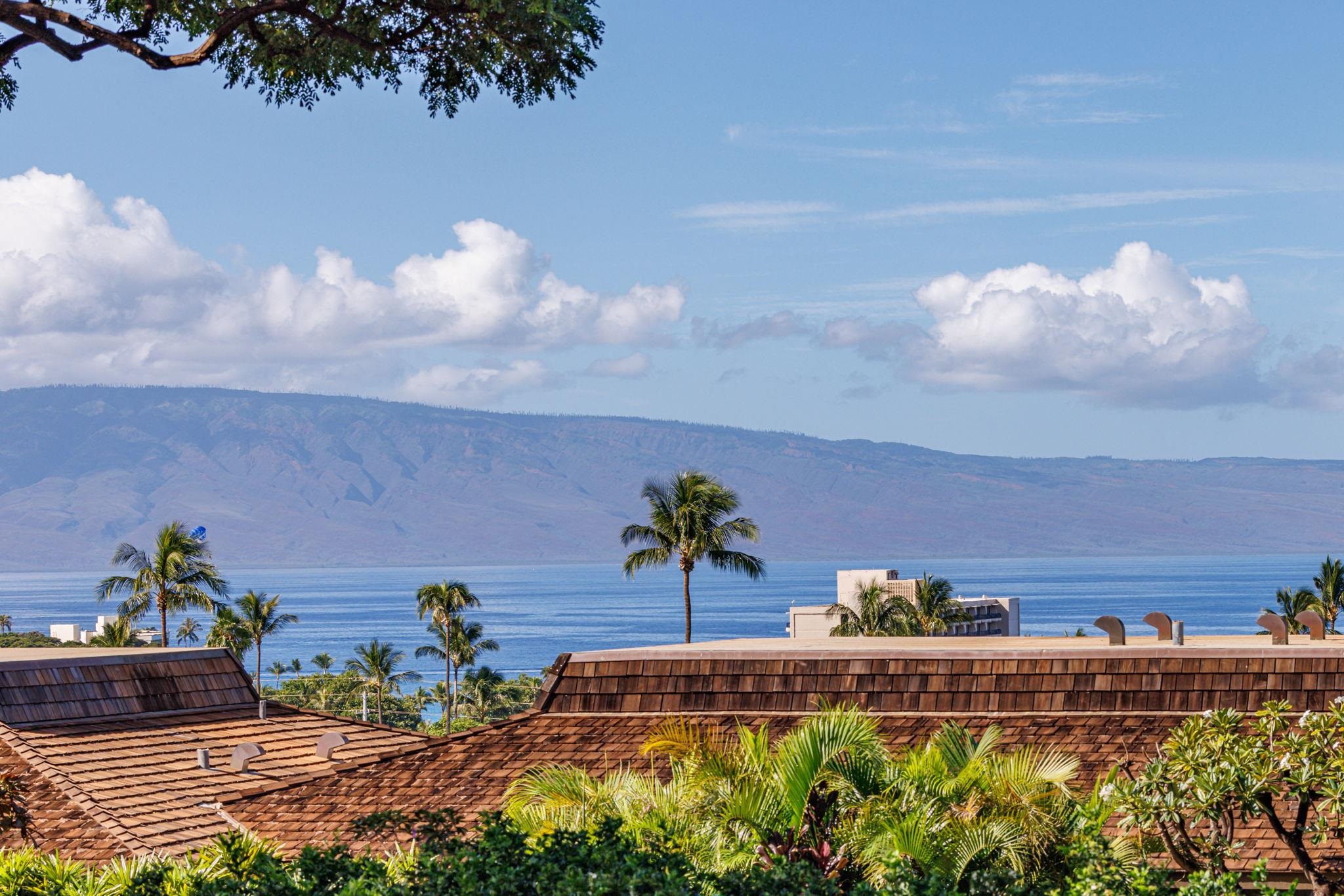 Kaanapali Plantation condo # 18, Lahaina, Hawaii - photo 49 of 49