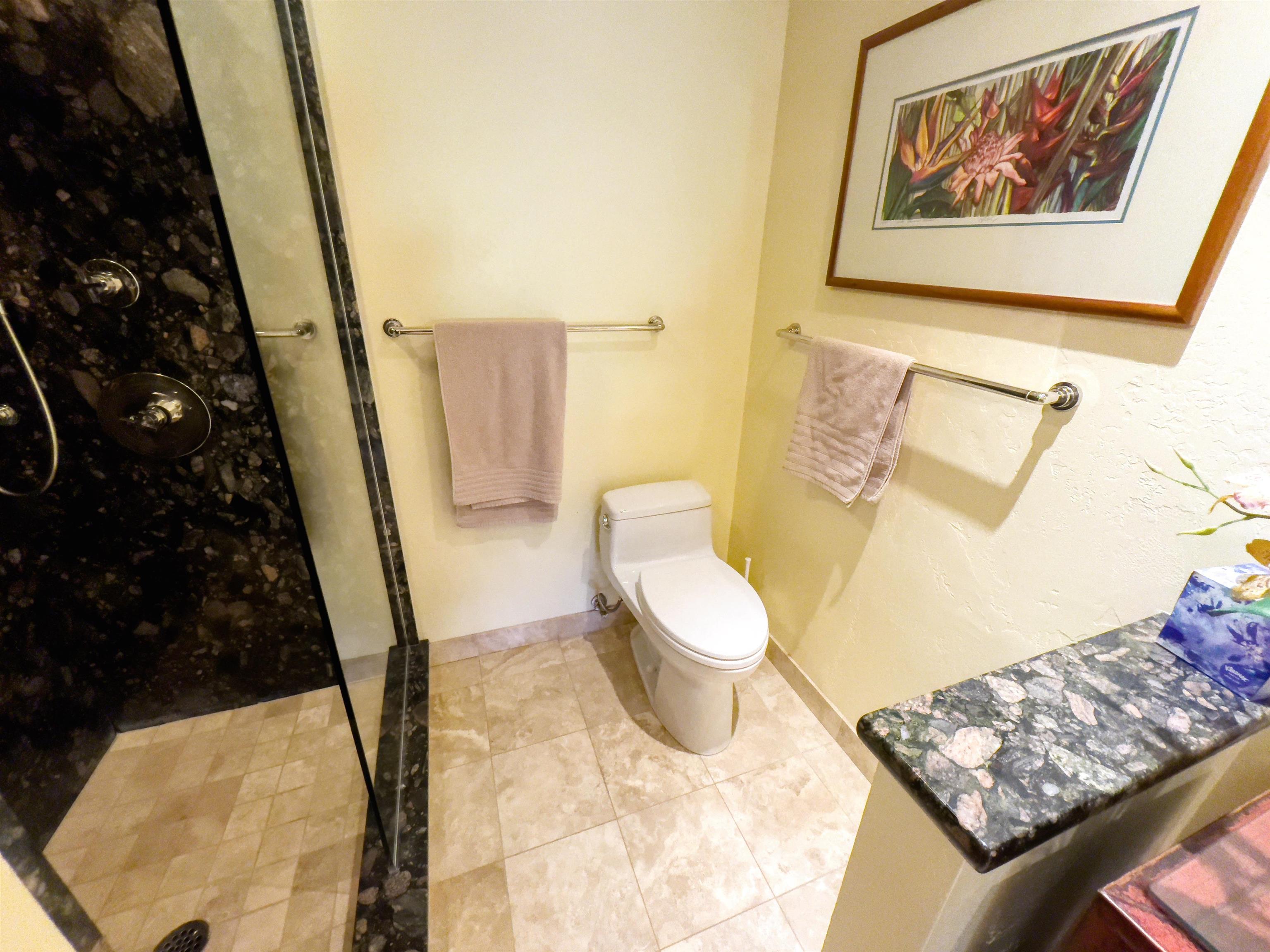 Kaanapali Plantation condo # 36, Lahaina, Hawaii - photo 39 of 50