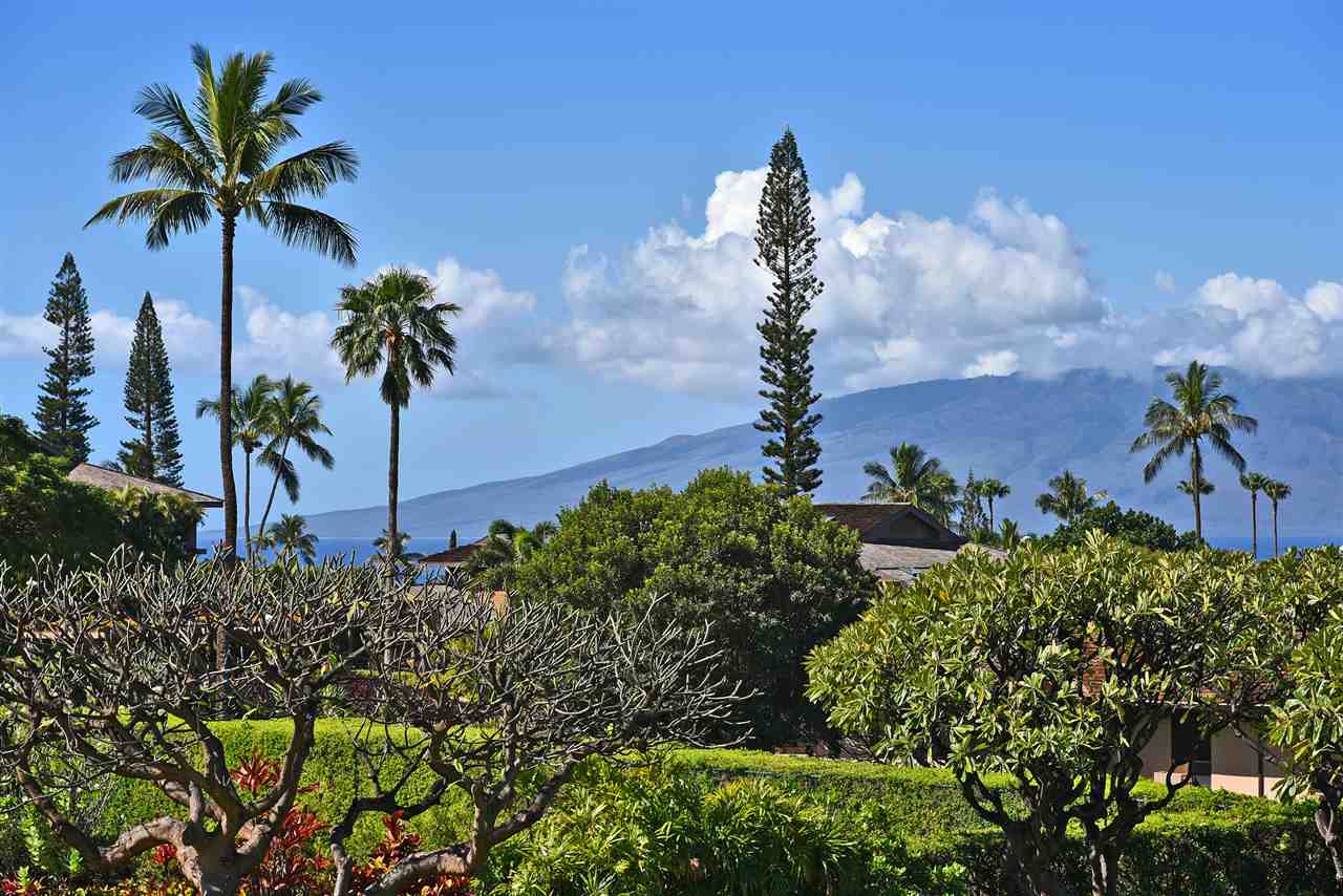 Kaanapali Plantation condo # 41, Lahaina, Hawaii - photo 13 of 30