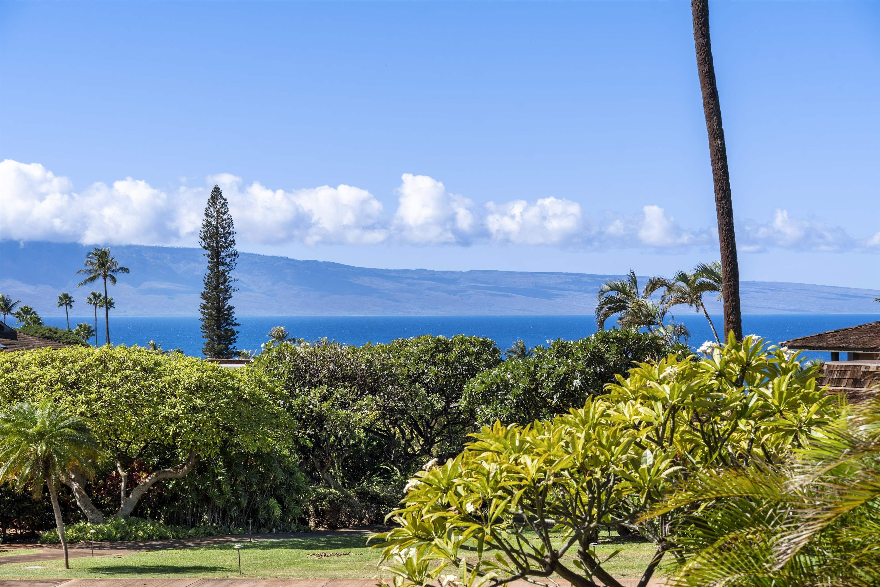 Kaanapali Plantation condo # 43, Lahaina, Hawaii - photo 18 of 31