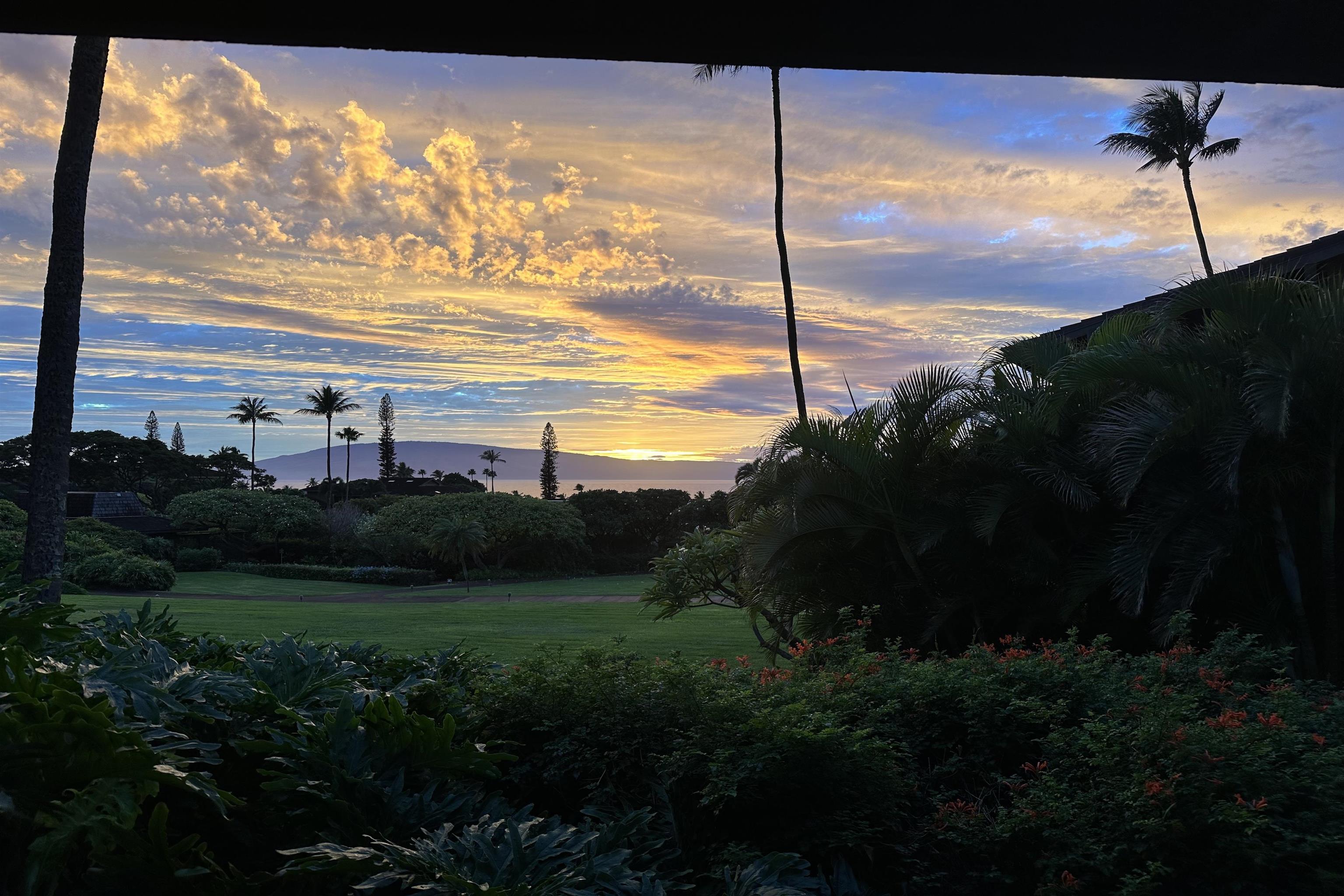 Kaanapali Plantation condo # 43, Lahaina, Hawaii - photo 31 of 31