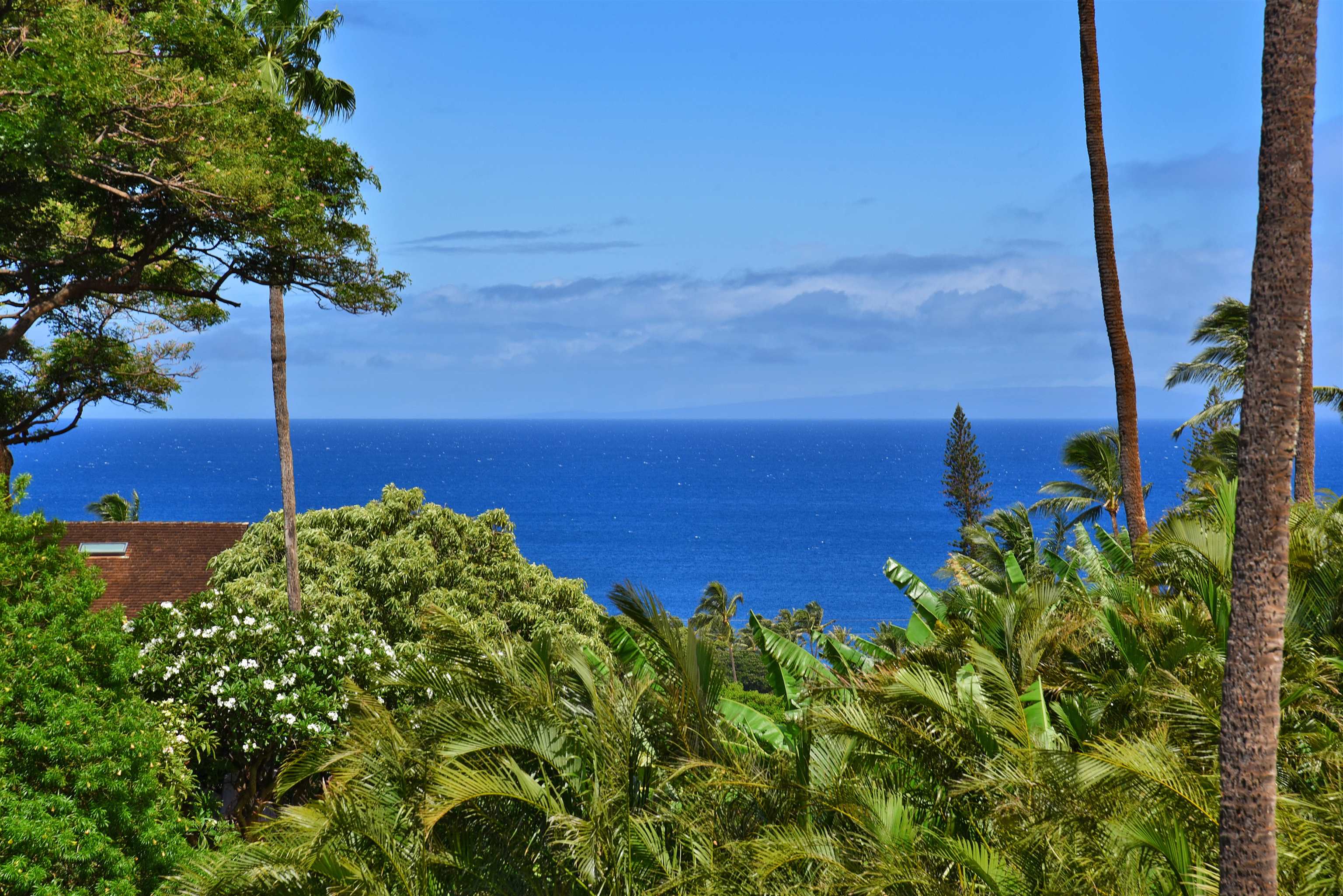 Kaanapali Plantation condo # 52, Lahaina, Hawaii - photo 21 of 49