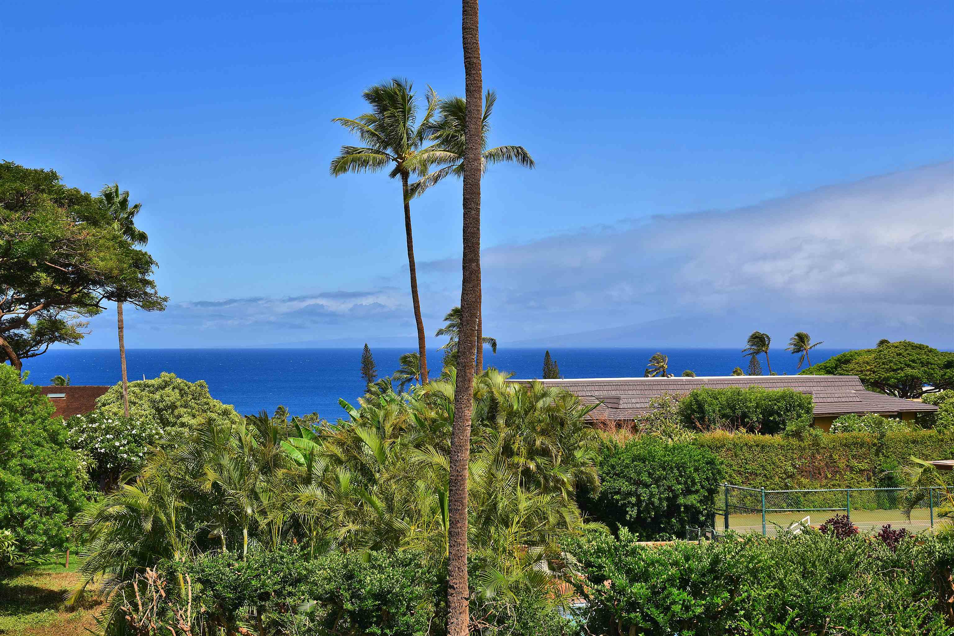 Kaanapali Plantation condo # 52, Lahaina, Hawaii - photo 41 of 49