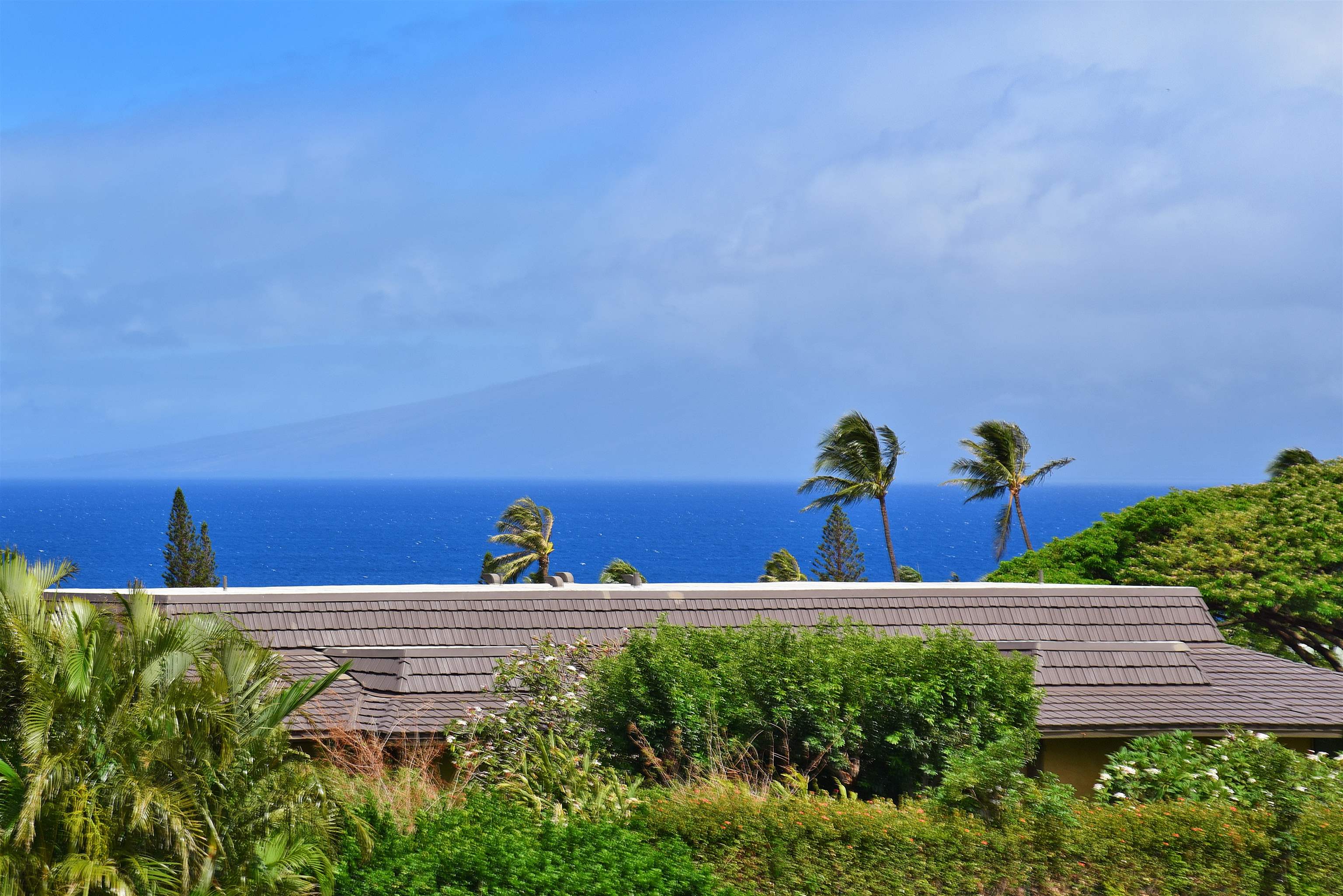 Kaanapali Plantation condo # 52, Lahaina, Hawaii - photo 42 of 49