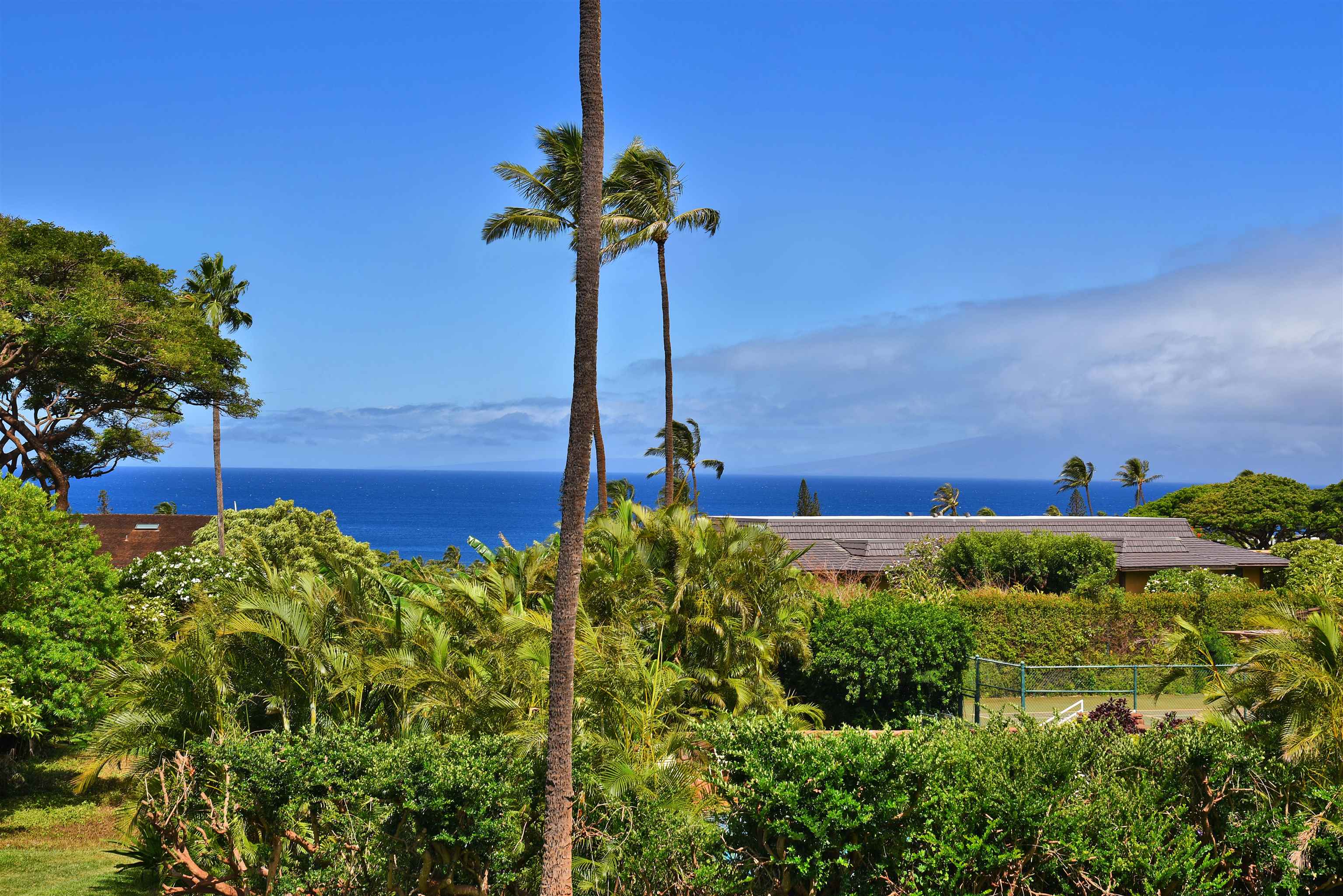 Kaanapali Plantation condo # 52, Lahaina, Hawaii - photo 43 of 49