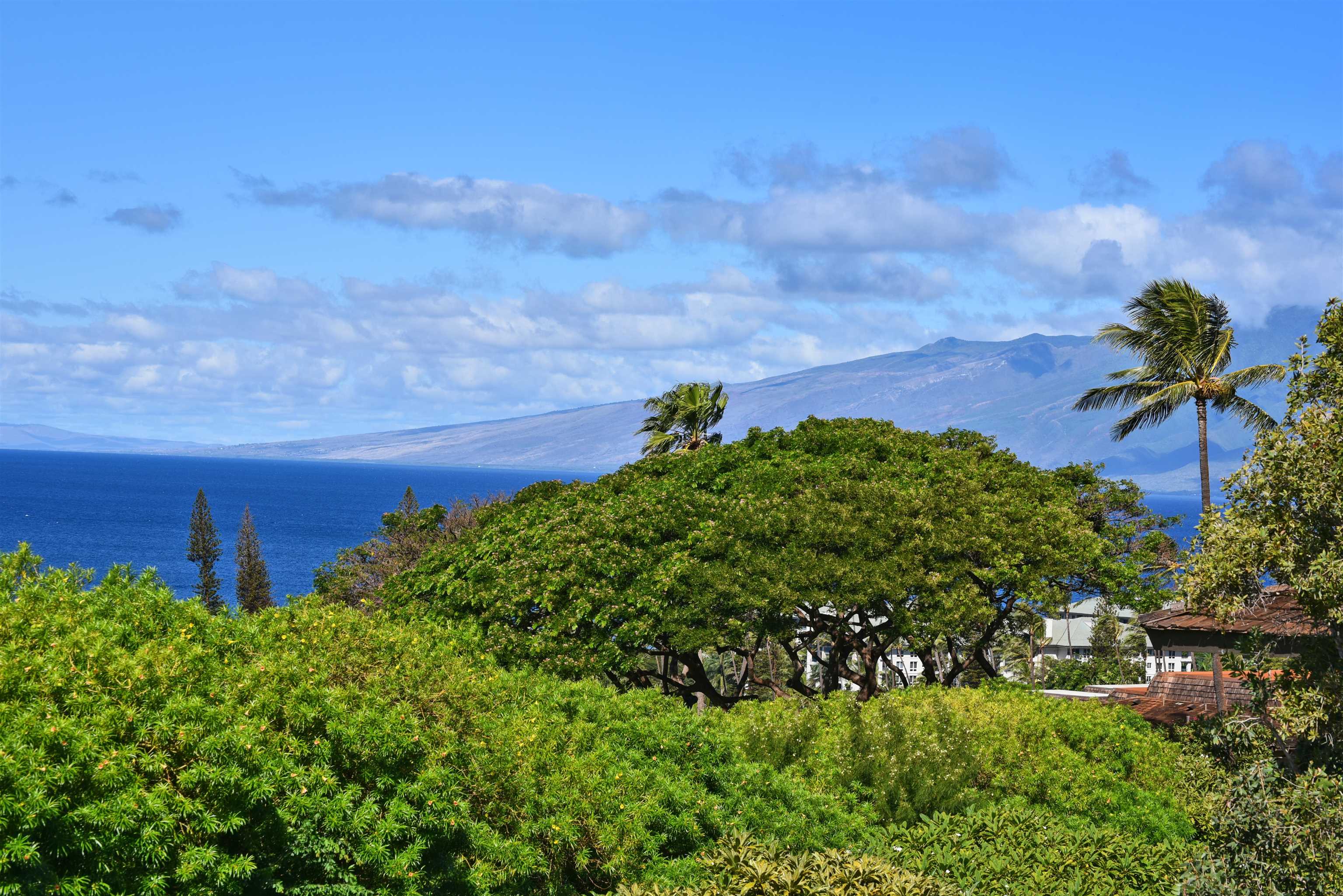 Kaanapali Plantation condo # 52, Lahaina, Hawaii - photo 44 of 49