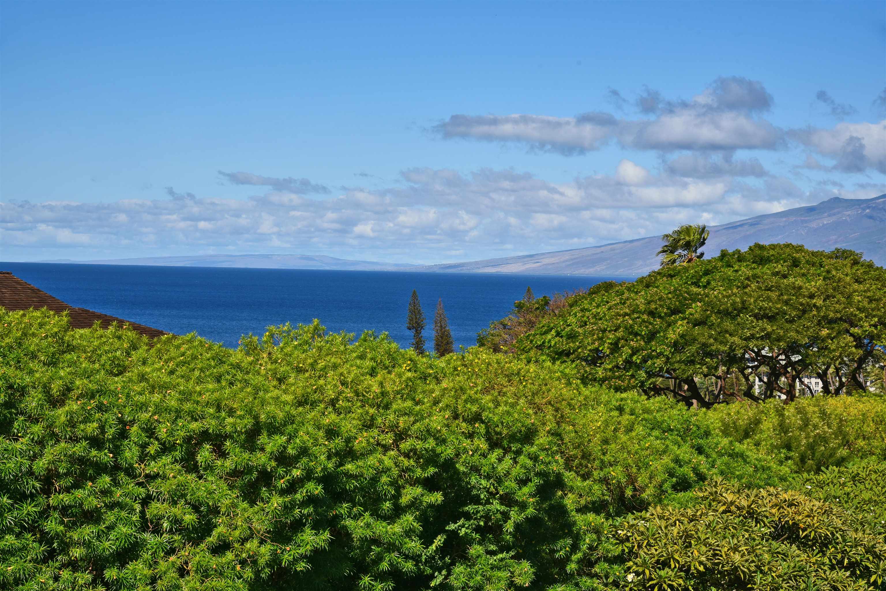 Kaanapali Plantation condo # 52, Lahaina, Hawaii - photo 45 of 49