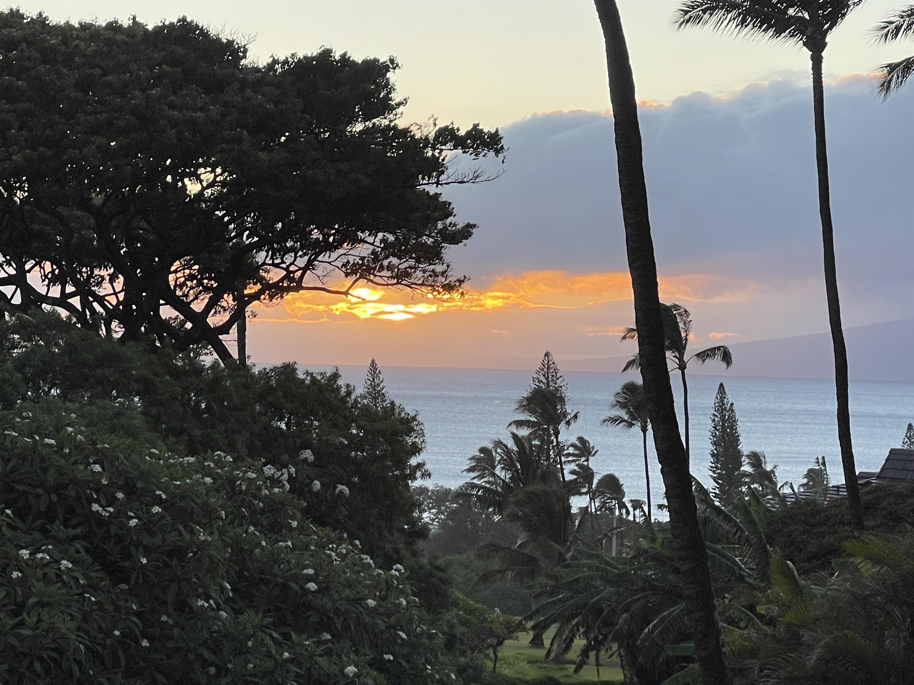 Kaanapali Plantation condo # 55, Lahaina, Hawaii - photo 2 of 39