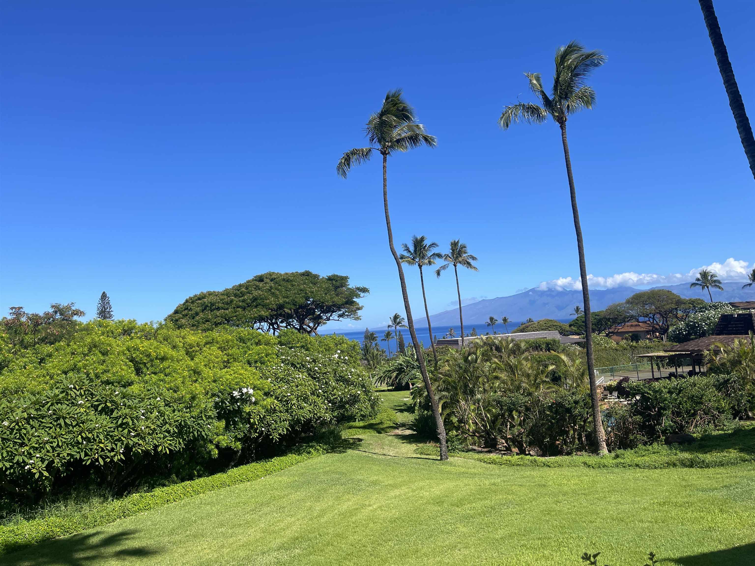 Kaanapali Plantation condo # 55, Lahaina, Hawaii - photo 32 of 39