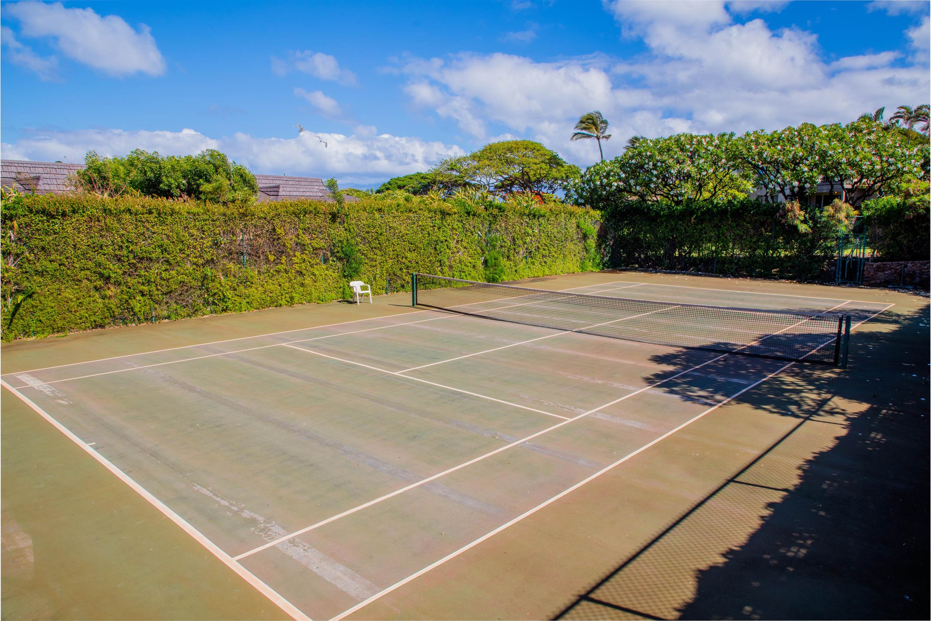 Kaanapali Plantation condo # 59, Lahaina, Hawaii - photo 19 of 20