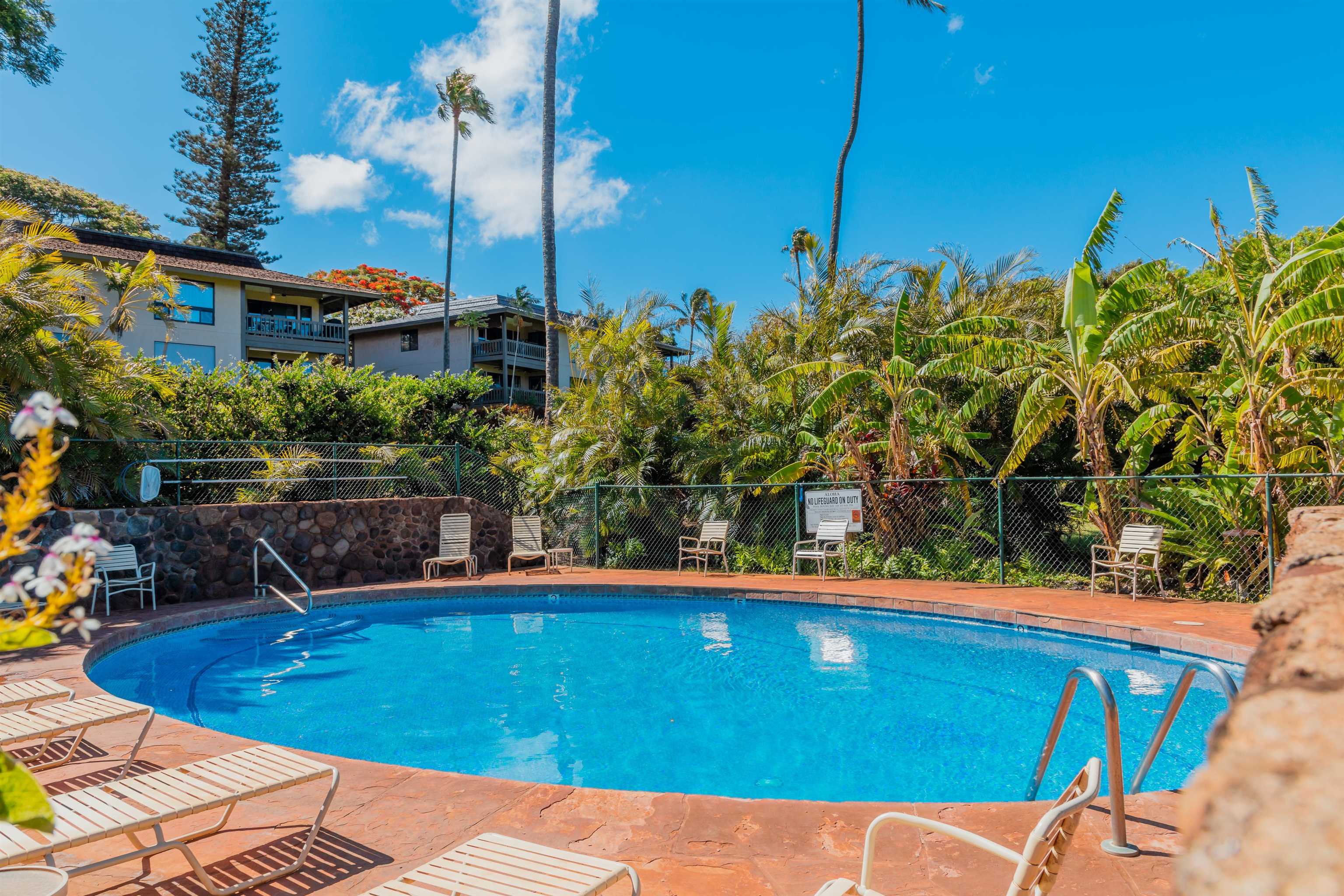 Kaanapali Plantation condo # 59, Lahaina, Hawaii - photo 20 of 20