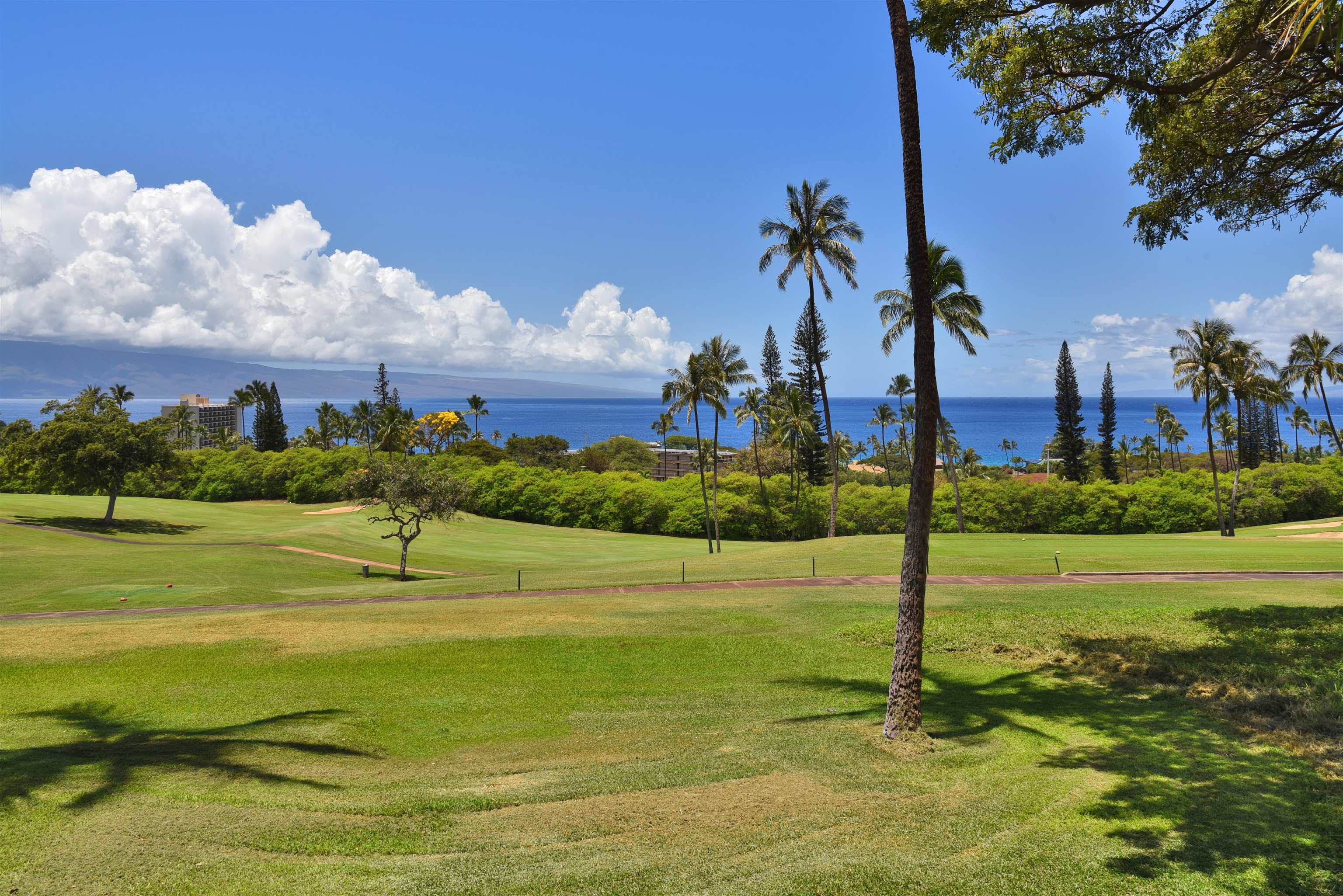 Kaanapali Plantation condo # 6, Lahaina, Hawaii - photo 22 of 48