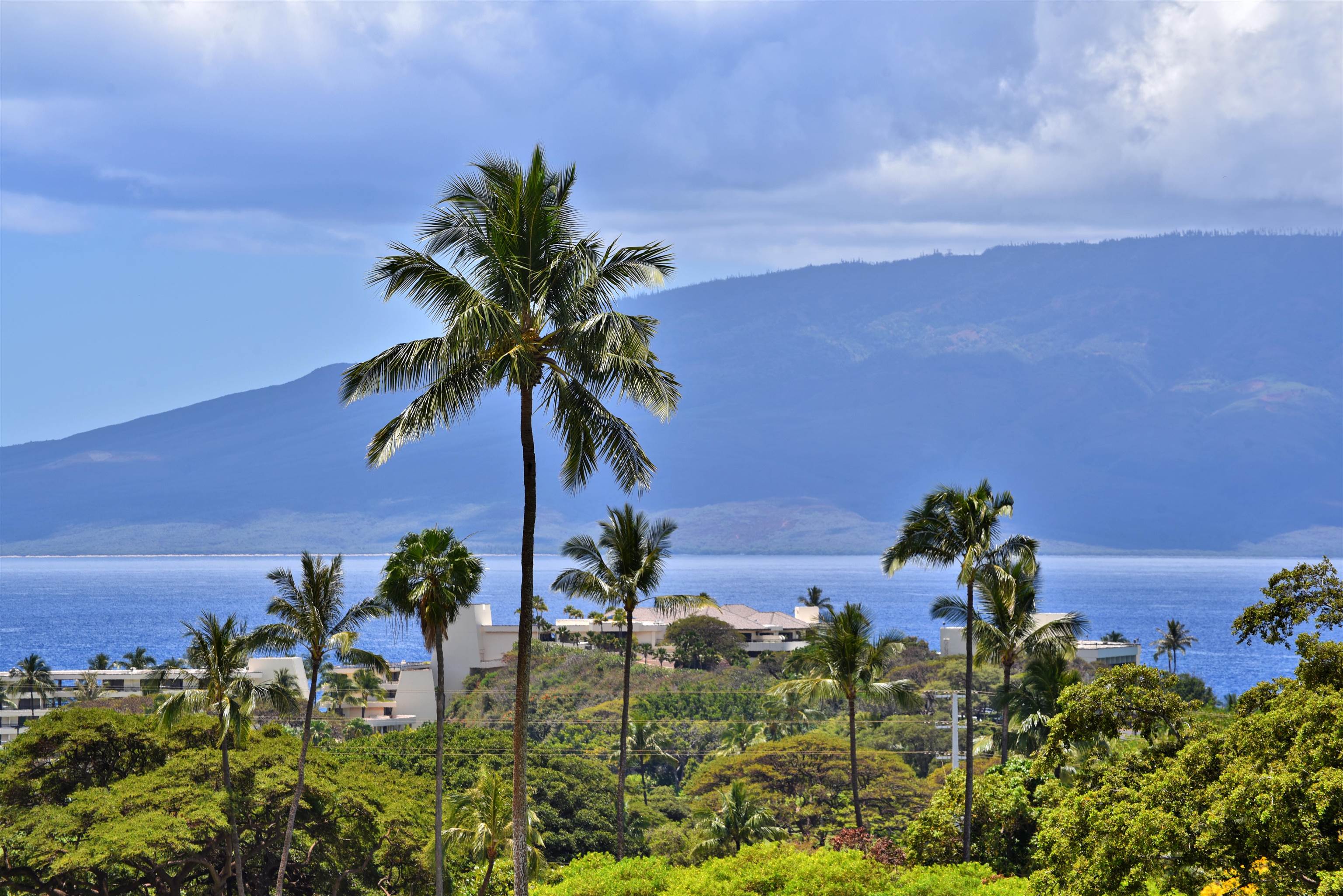 Kaanapali Plantation condo # 6, Lahaina, Hawaii - photo 48 of 48