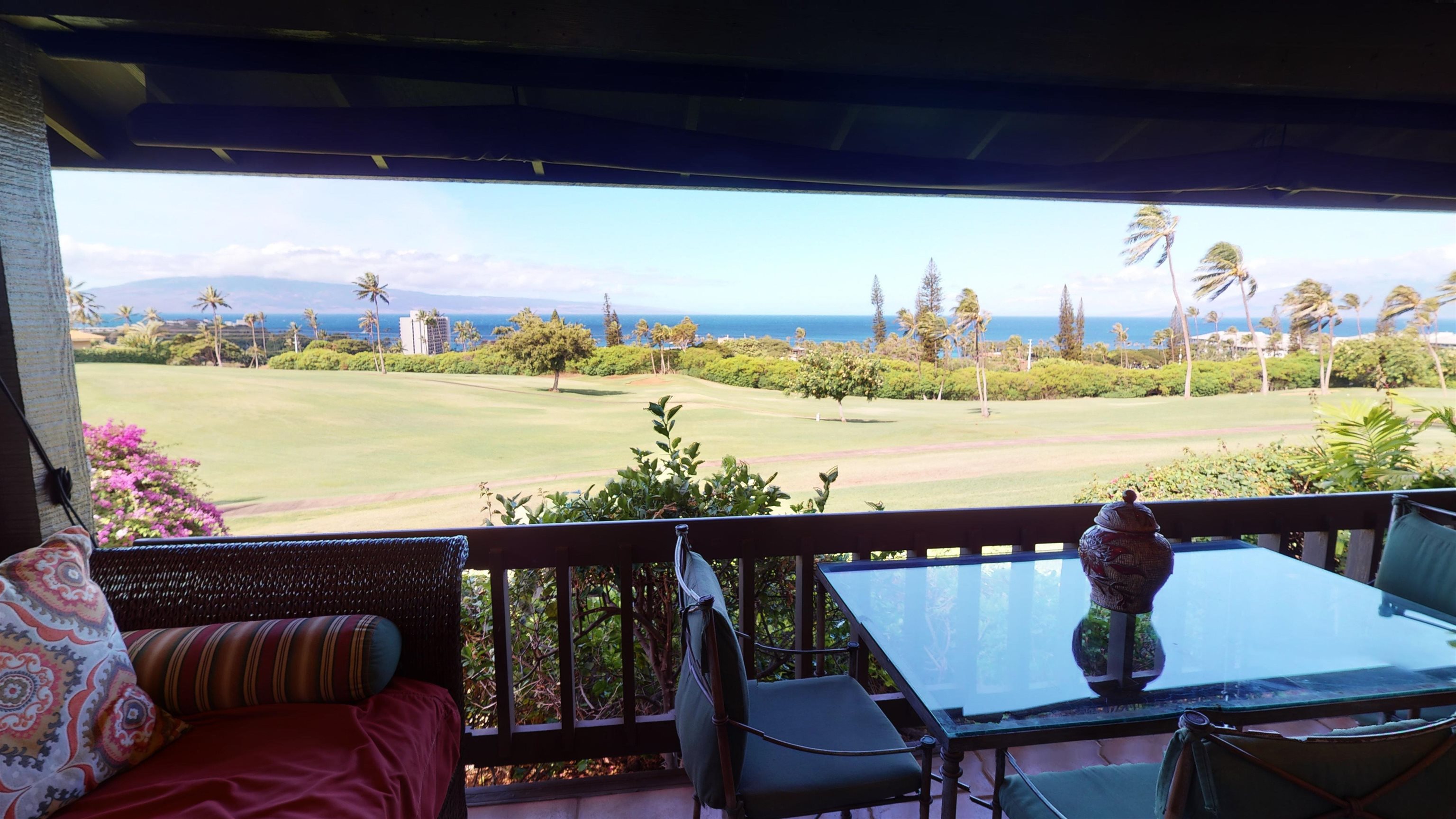 Kaanapali Plantation condo # 9, Lahaina, Hawaii - photo 28 of 30