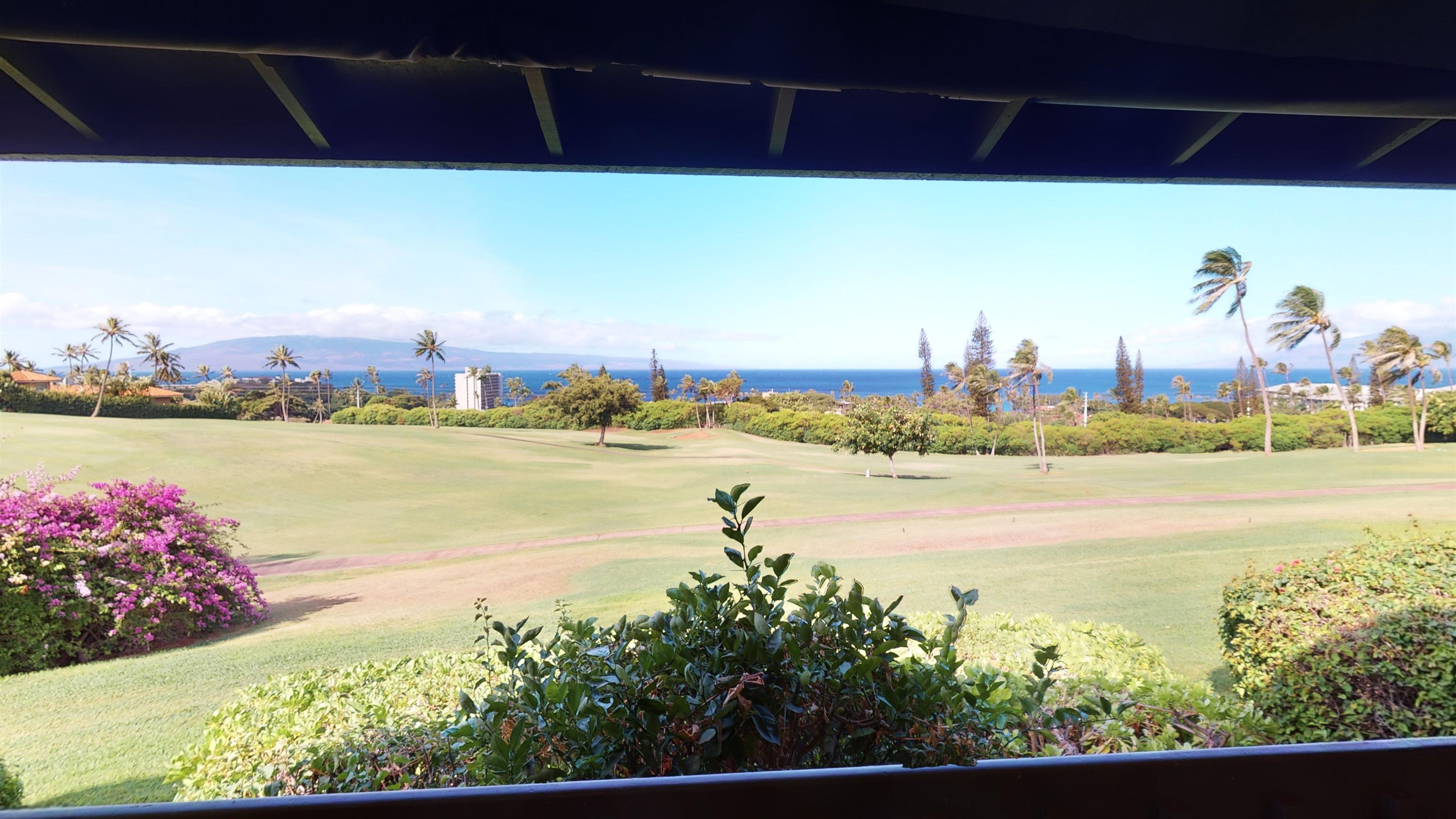 Kaanapali Plantation condo # 9, Lahaina, Hawaii - photo 29 of 30