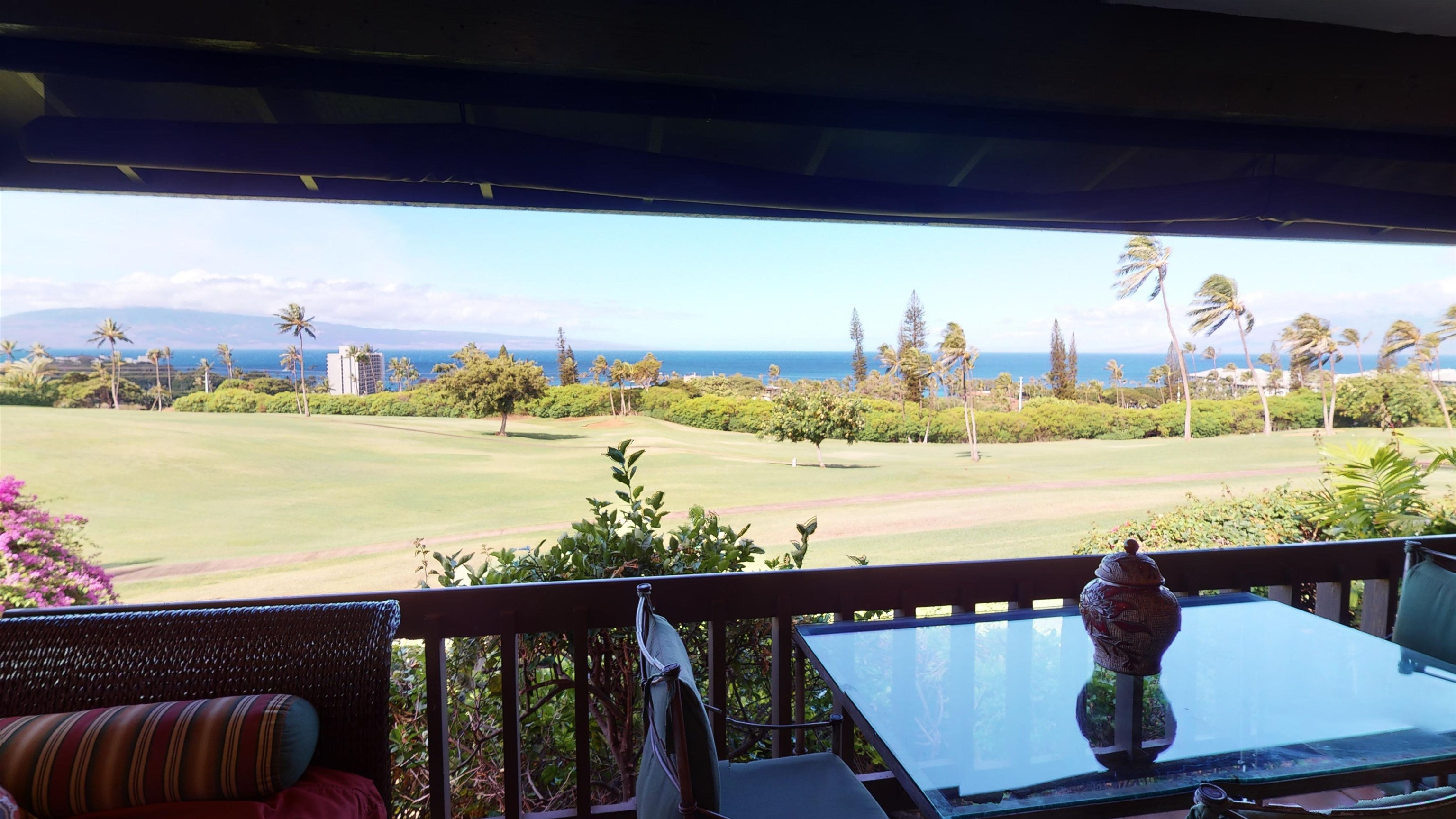 Kaanapali Plantation condo # 9, Lahaina, Hawaii - photo 30 of 30