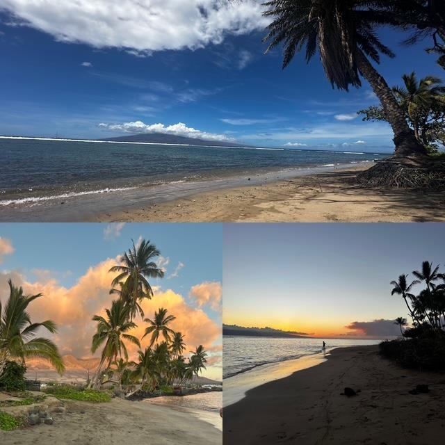 Opukea at Lahaina condo # E101, Lahaina, Hawaii - photo 19 of 21