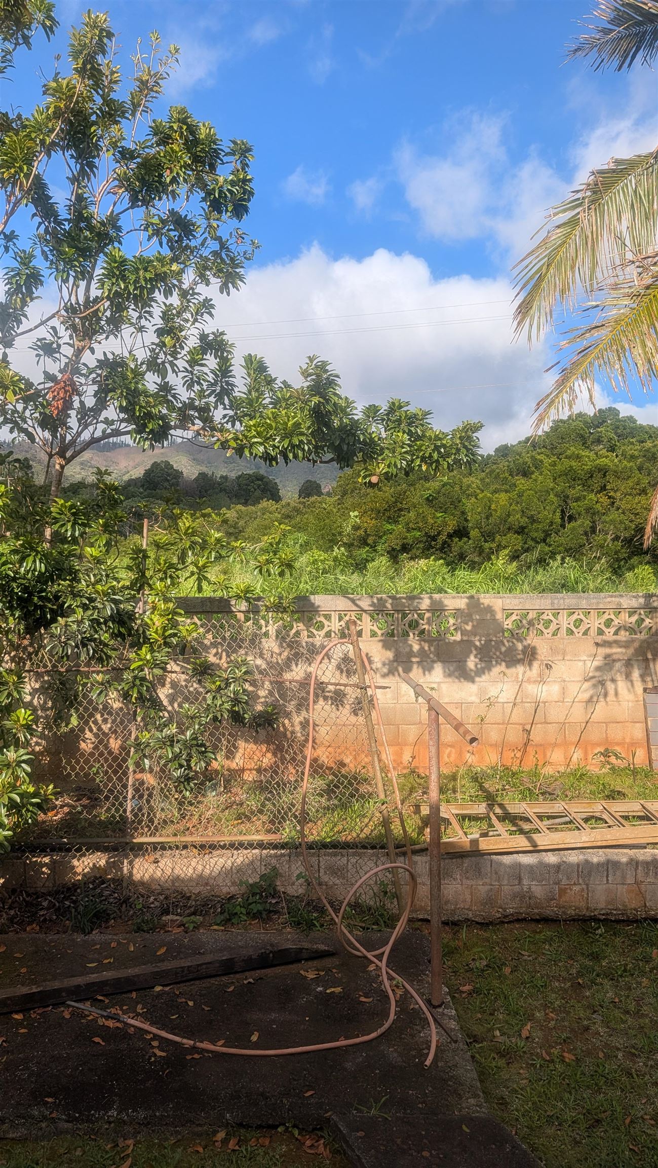 1503  Pakali St , Lanai home - photo 18 of 18