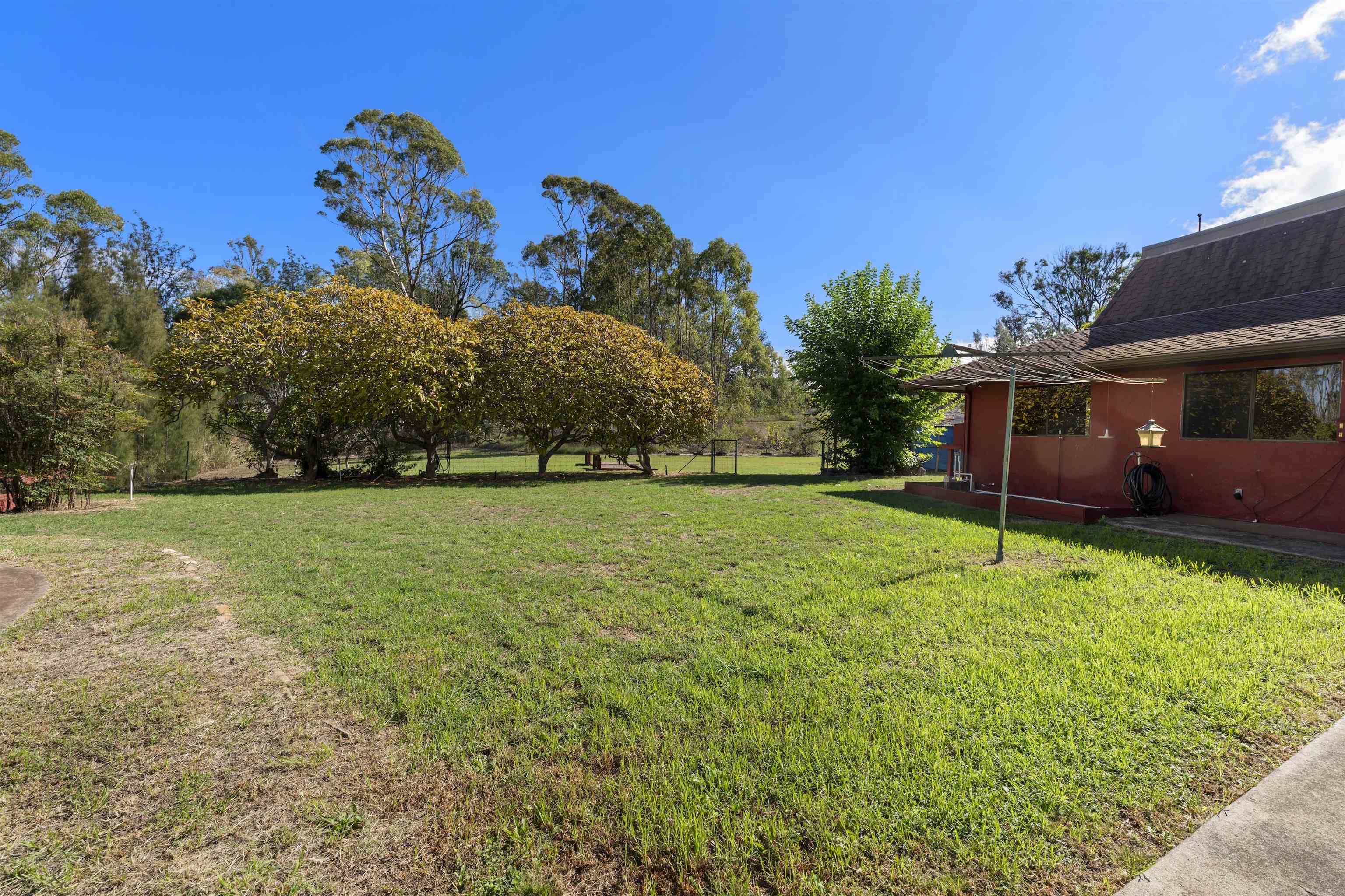 151  Aulii Dr Kula 200, Pukalani home - photo 35 of 45