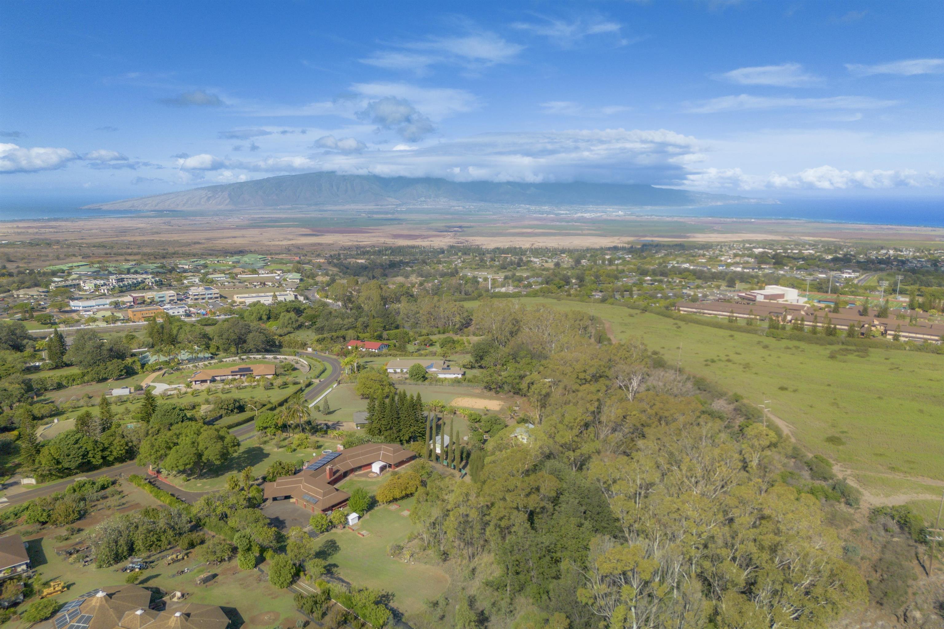 151  Aulii Dr Kula 200, Pukalani home - photo 37 of 45