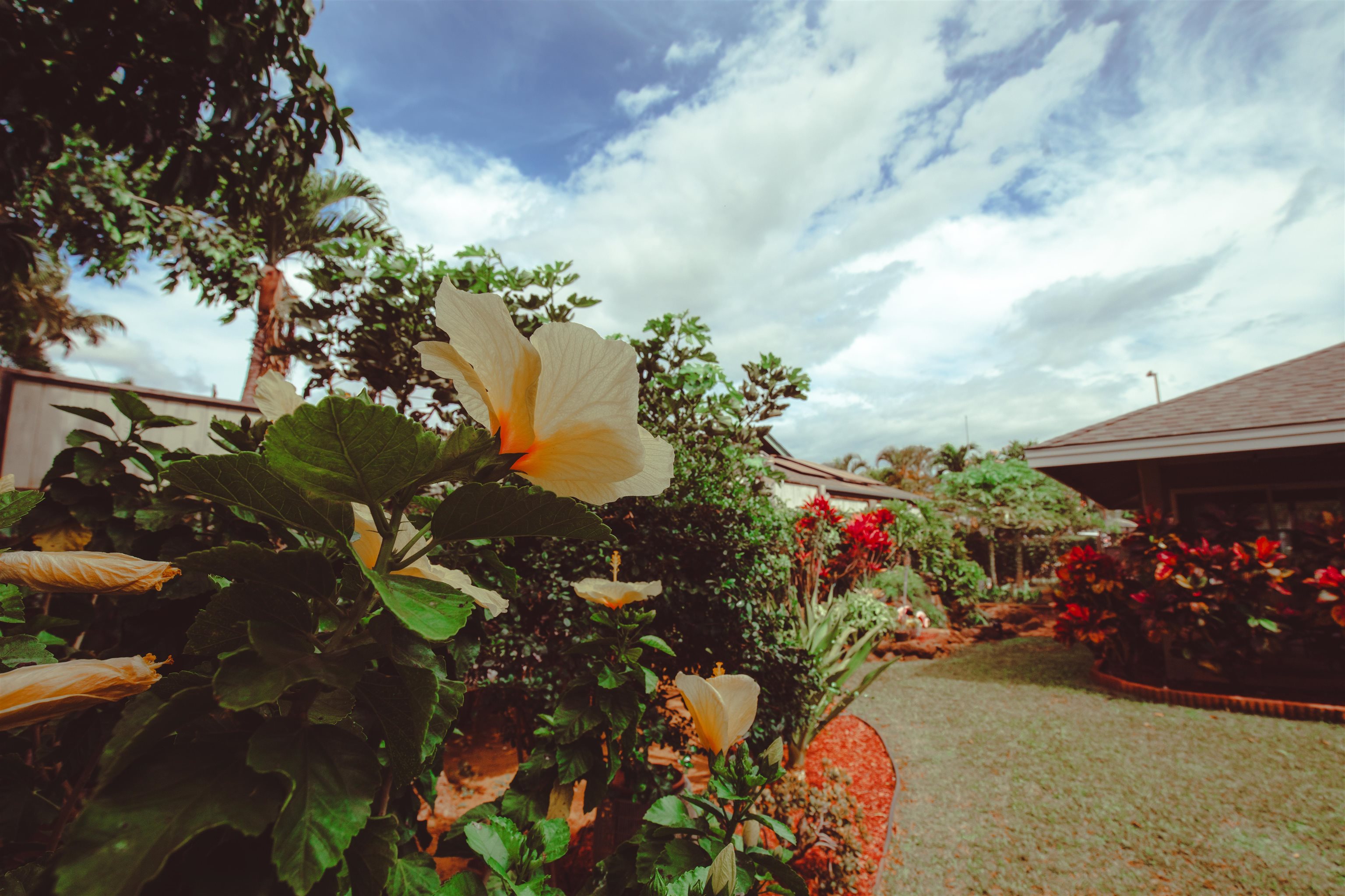 151  Hoopili Akau St Ka Ono Ulu, Kihei home - photo 43 of 50
