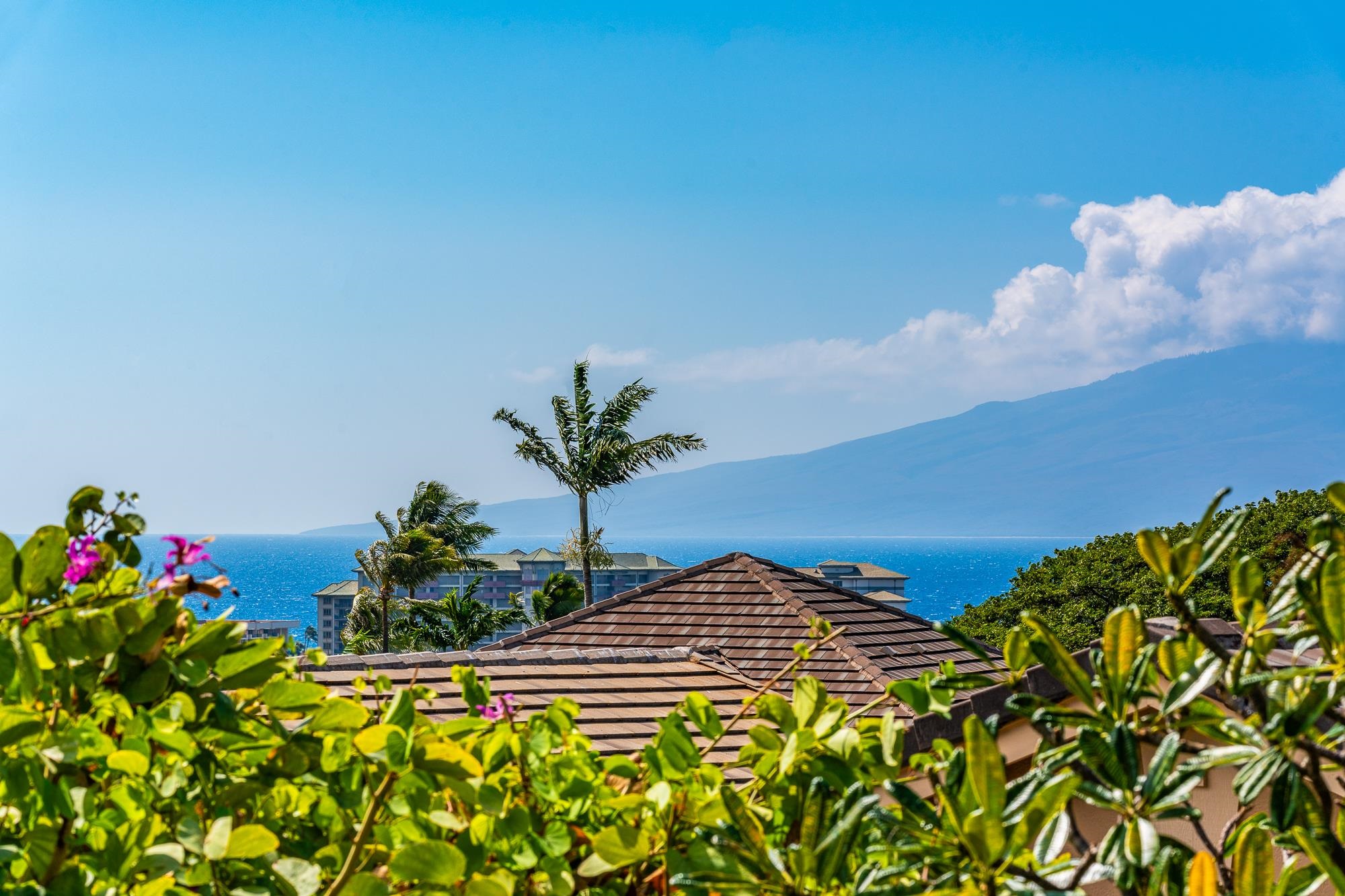Vintage at Kaanapali condo # 51, Lahaina, Hawaii - photo 40 of 45