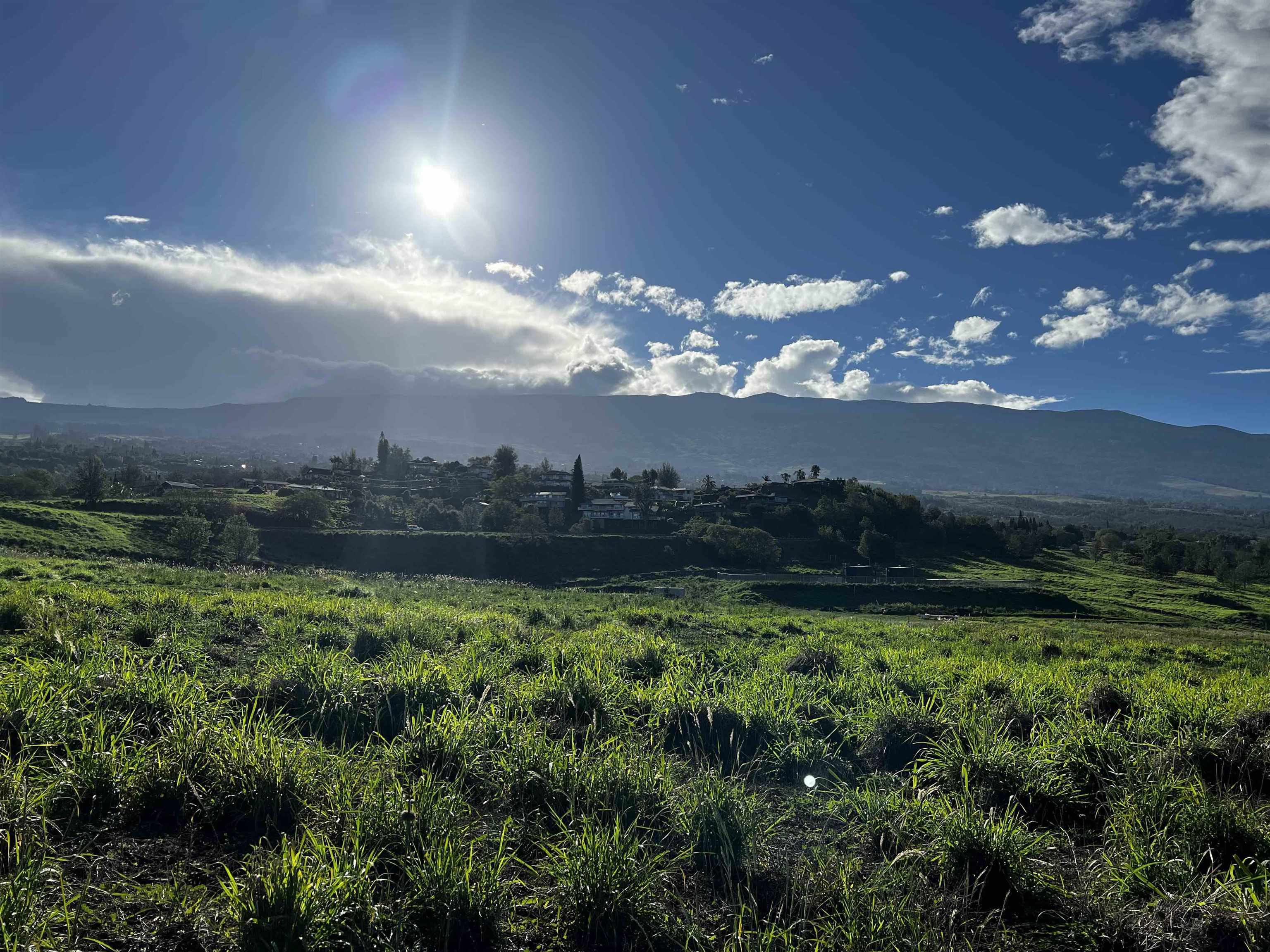 151 Kula Io Rd  Kula, Hi vacant land for sale - photo 30 of 30