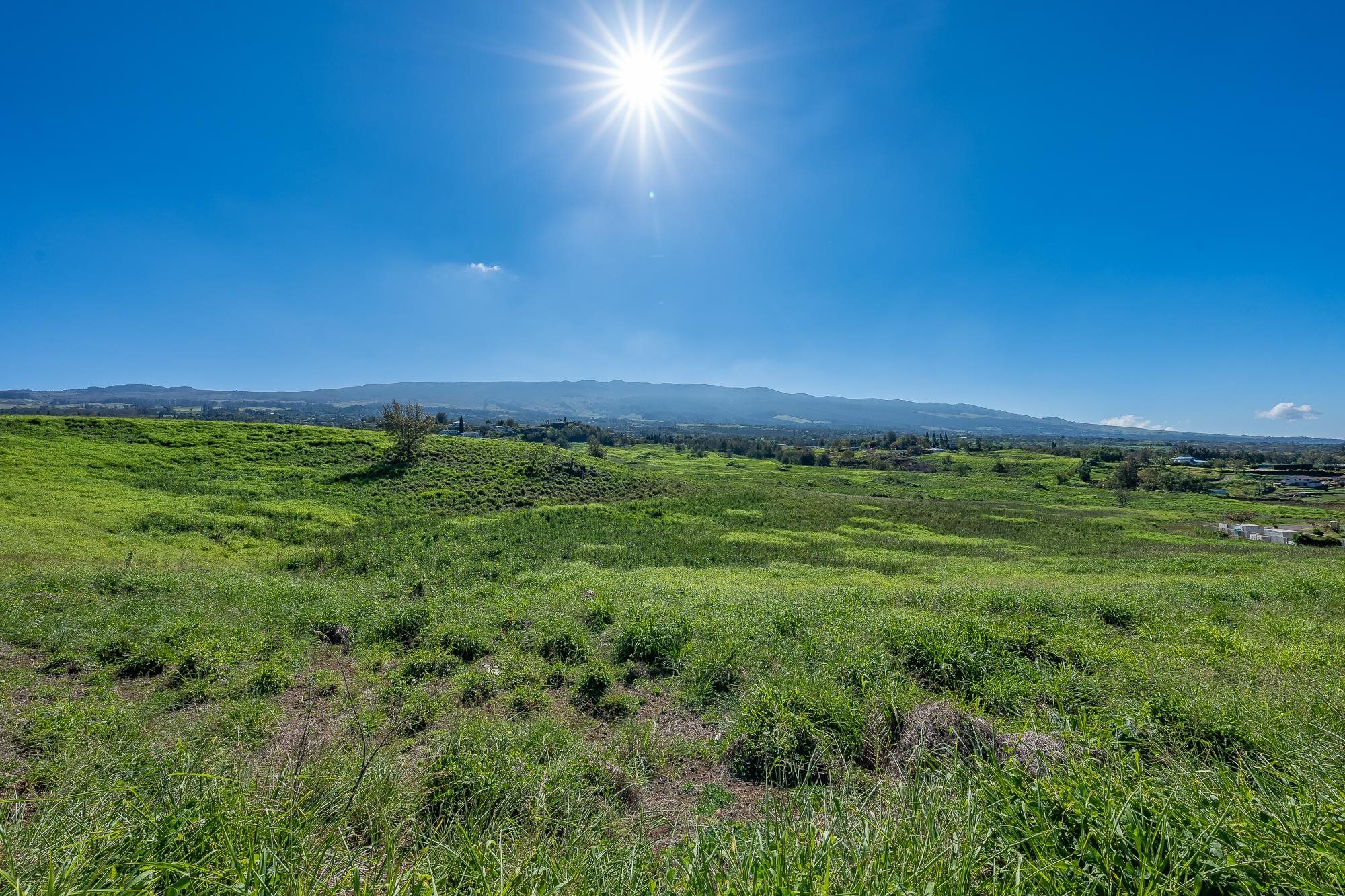 151 Kula Io Rd  Kula, Hi vacant land for sale - photo 5 of 30