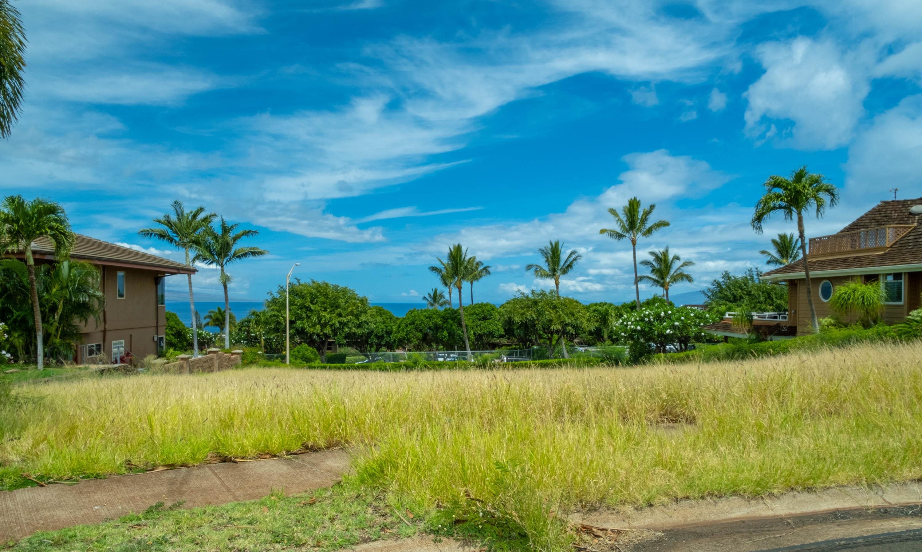 152 Eke Pl 124 Lahaina Kaanapali Land For sale