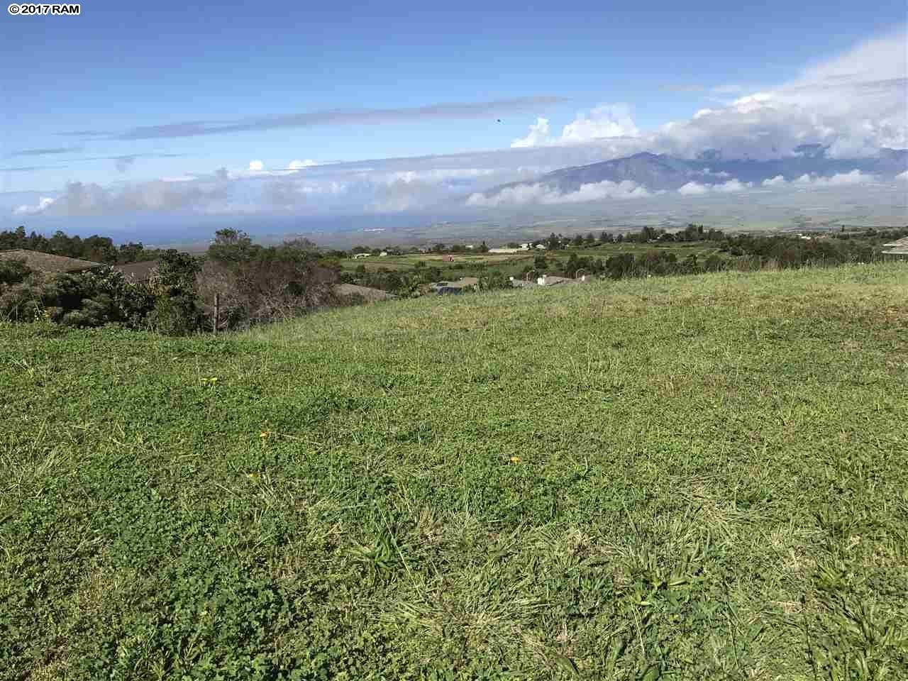 152 Kulamanu Cir  Kula, Hi 96790 vacant land - photo 9 of 17