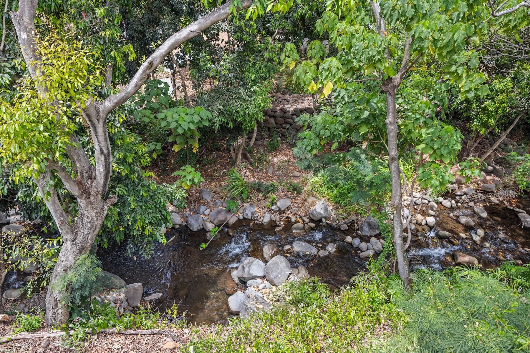 1520  Kilinoe Pl , Wailuku home - photo 32 of 50