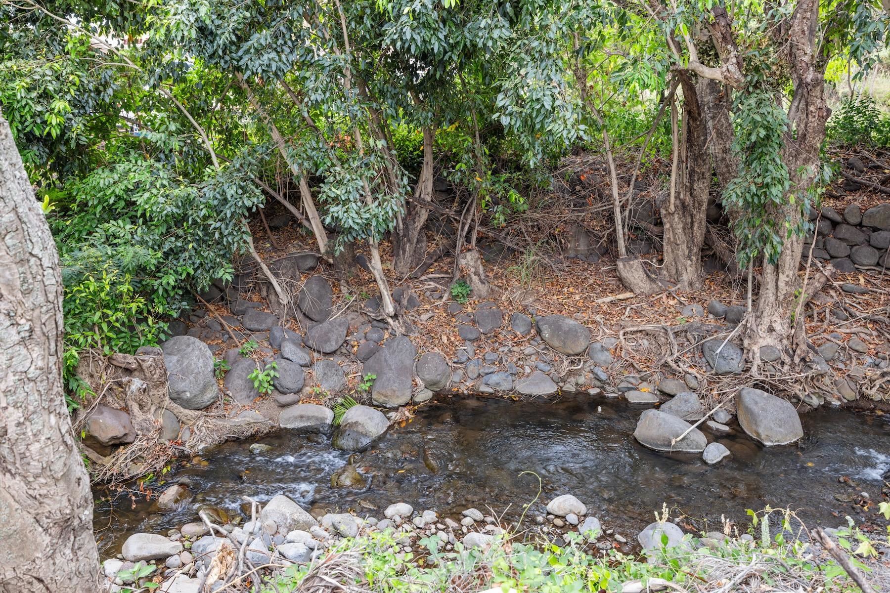 1520  Kilinoe Pl , Wailuku home - photo 47 of 50