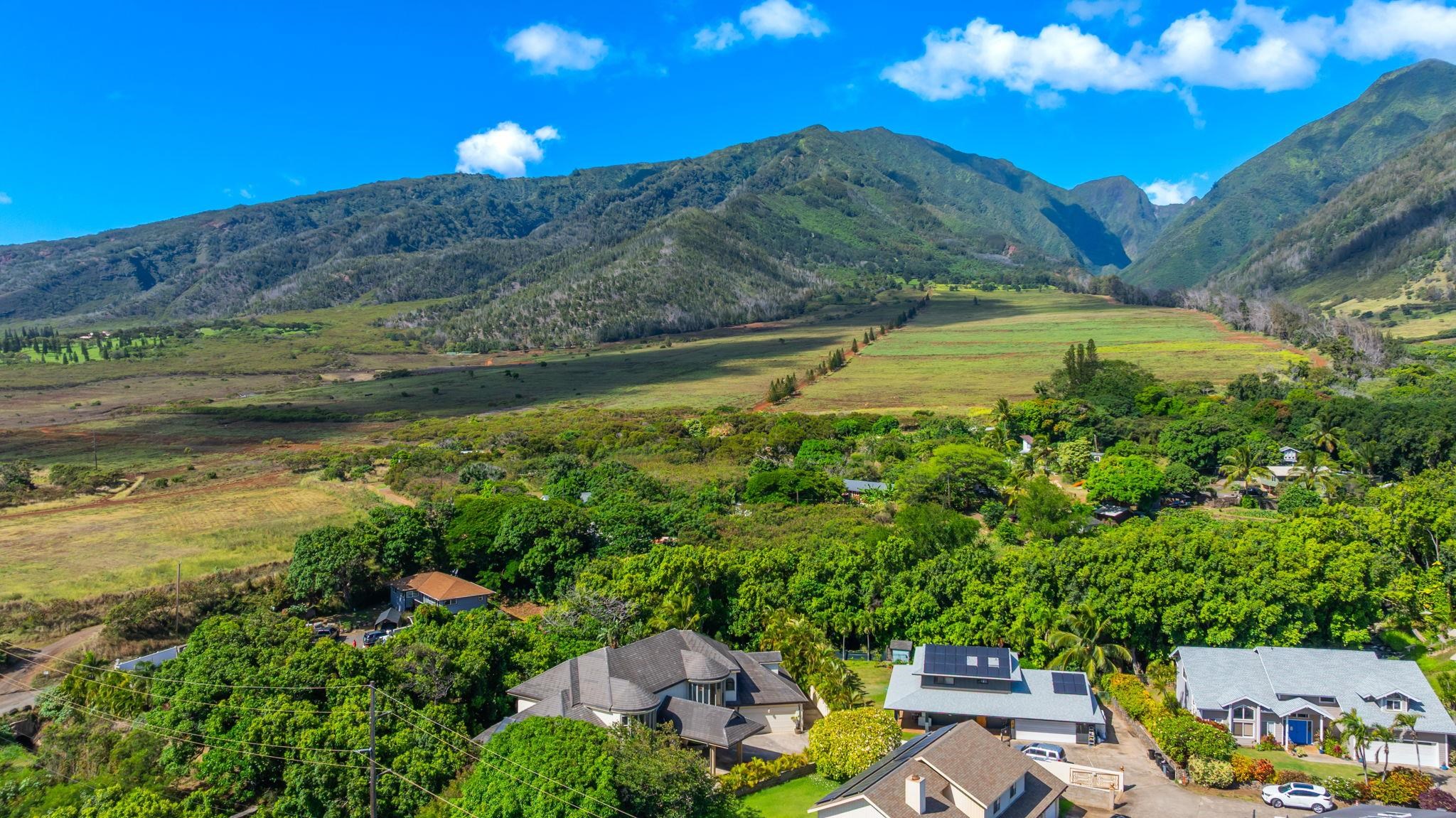 1520  Kilinoe Pl Waikapu, Wailuku home - photo 44 of 45