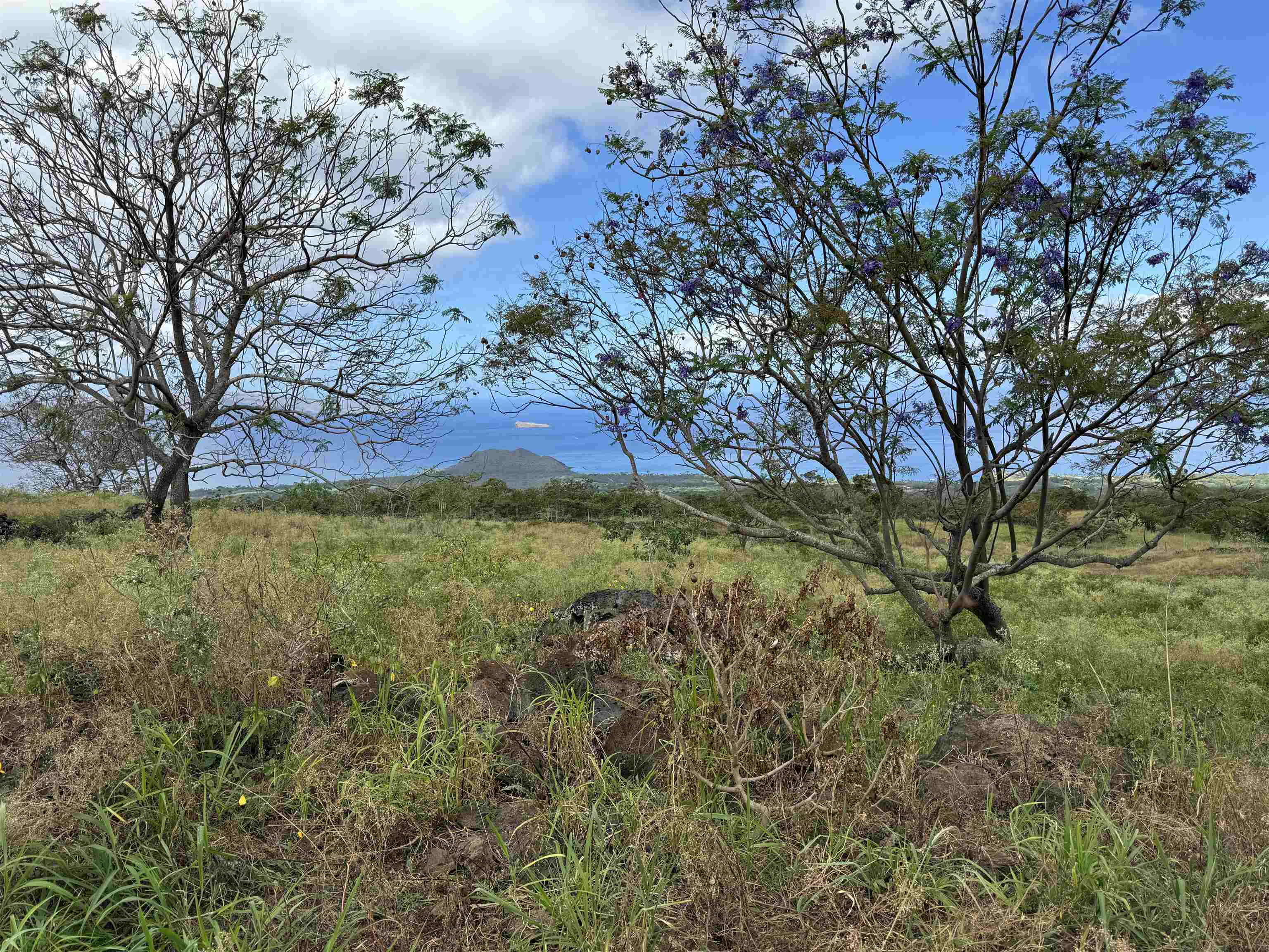 1521 Kanaio-kalama Park Rd Lot A Kula, Hi vacant land for sale - photo 15 of 29