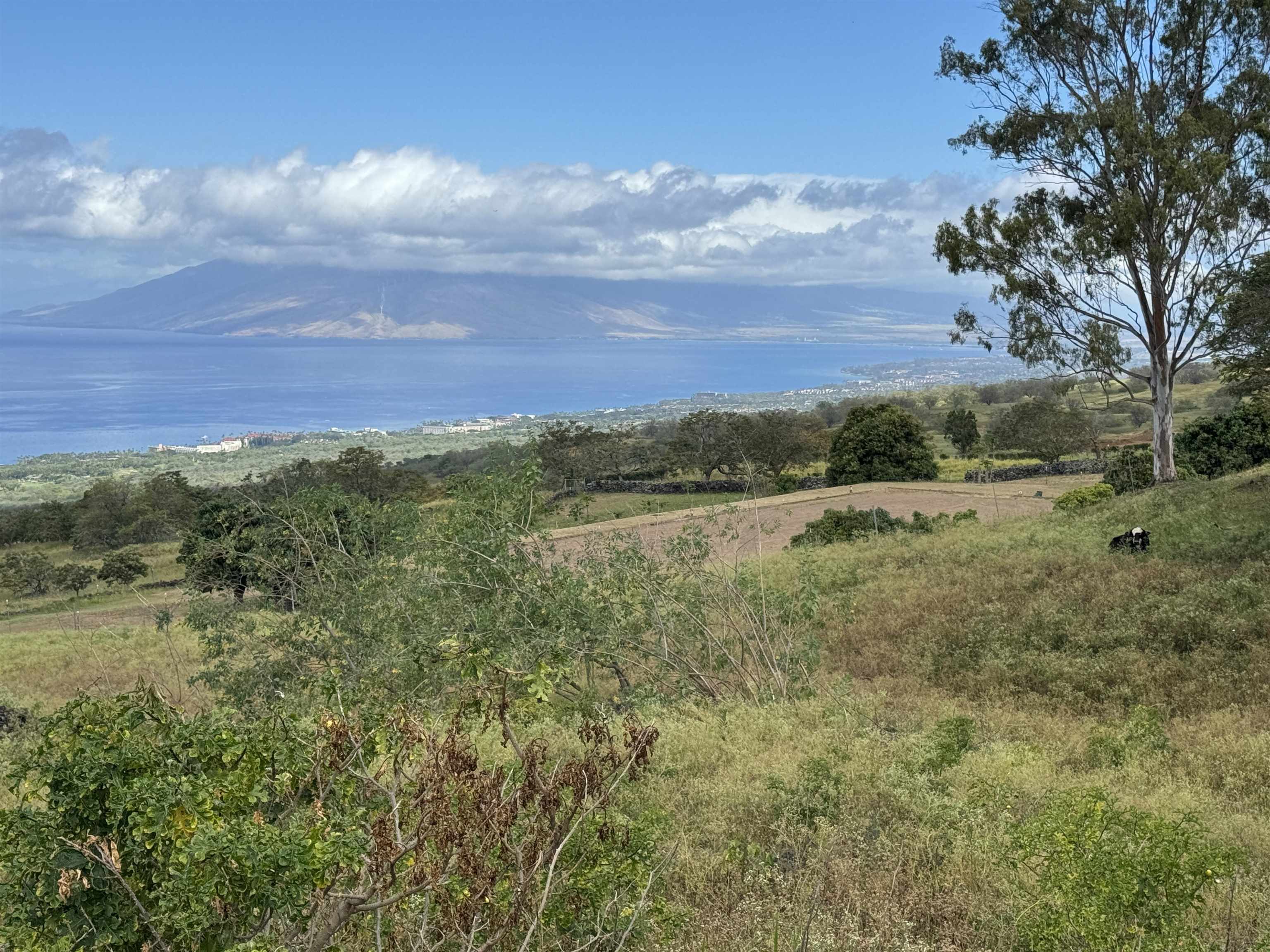 1521 Kanaio-kalama Park Rd Lot A Kula, Hi vacant land for sale - photo 16 of 29