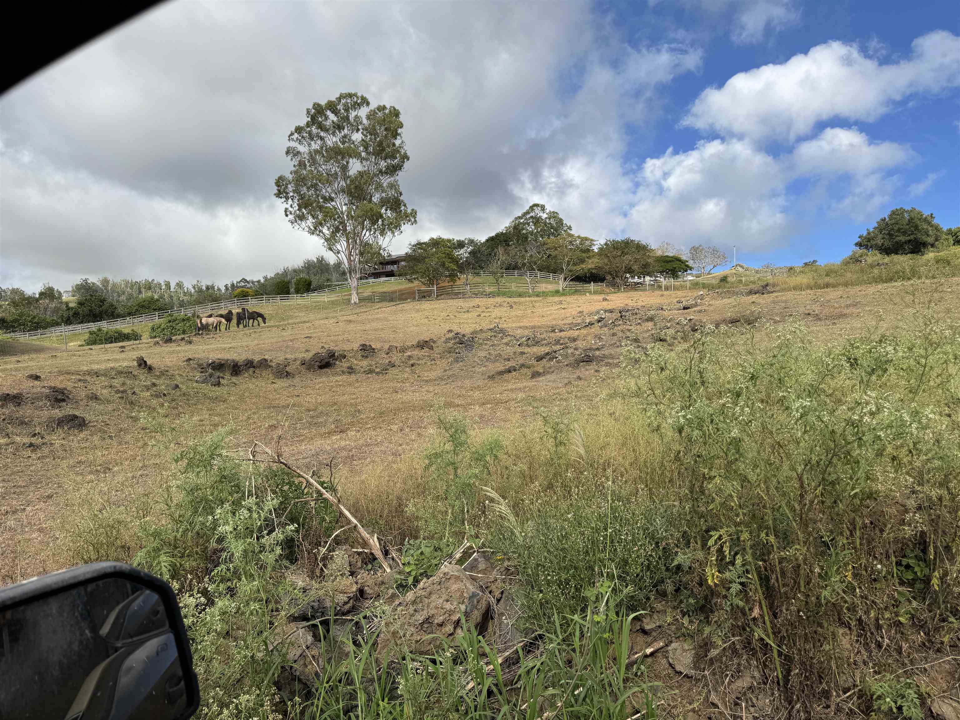 1521 Kanaio-kalama Park Rd Lot A Kula, Hi vacant land for sale - photo 22 of 29