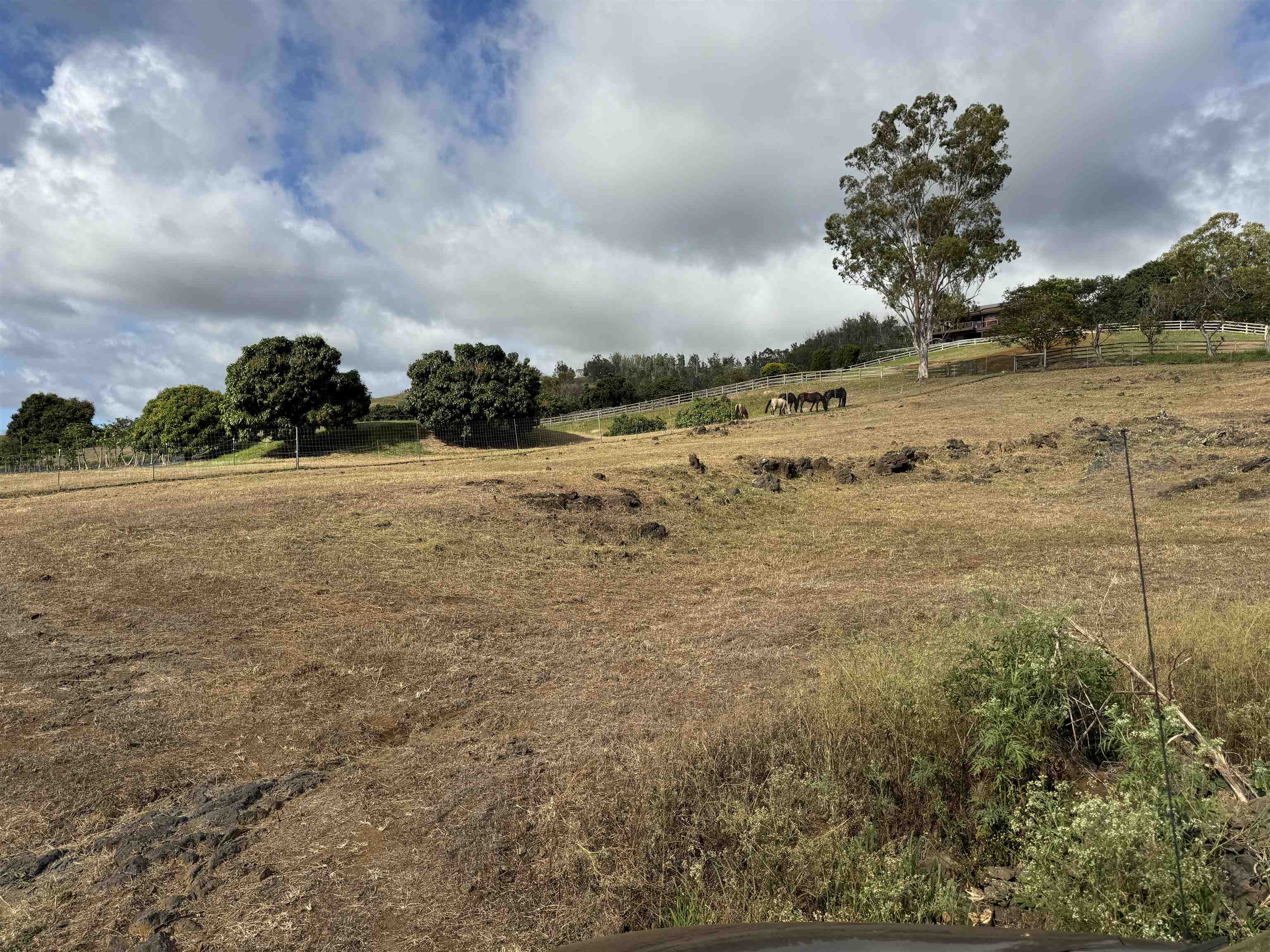 1521 Kanaio-kalama Park Rd Lot A Kula, Hi vacant land for sale - photo 23 of 24