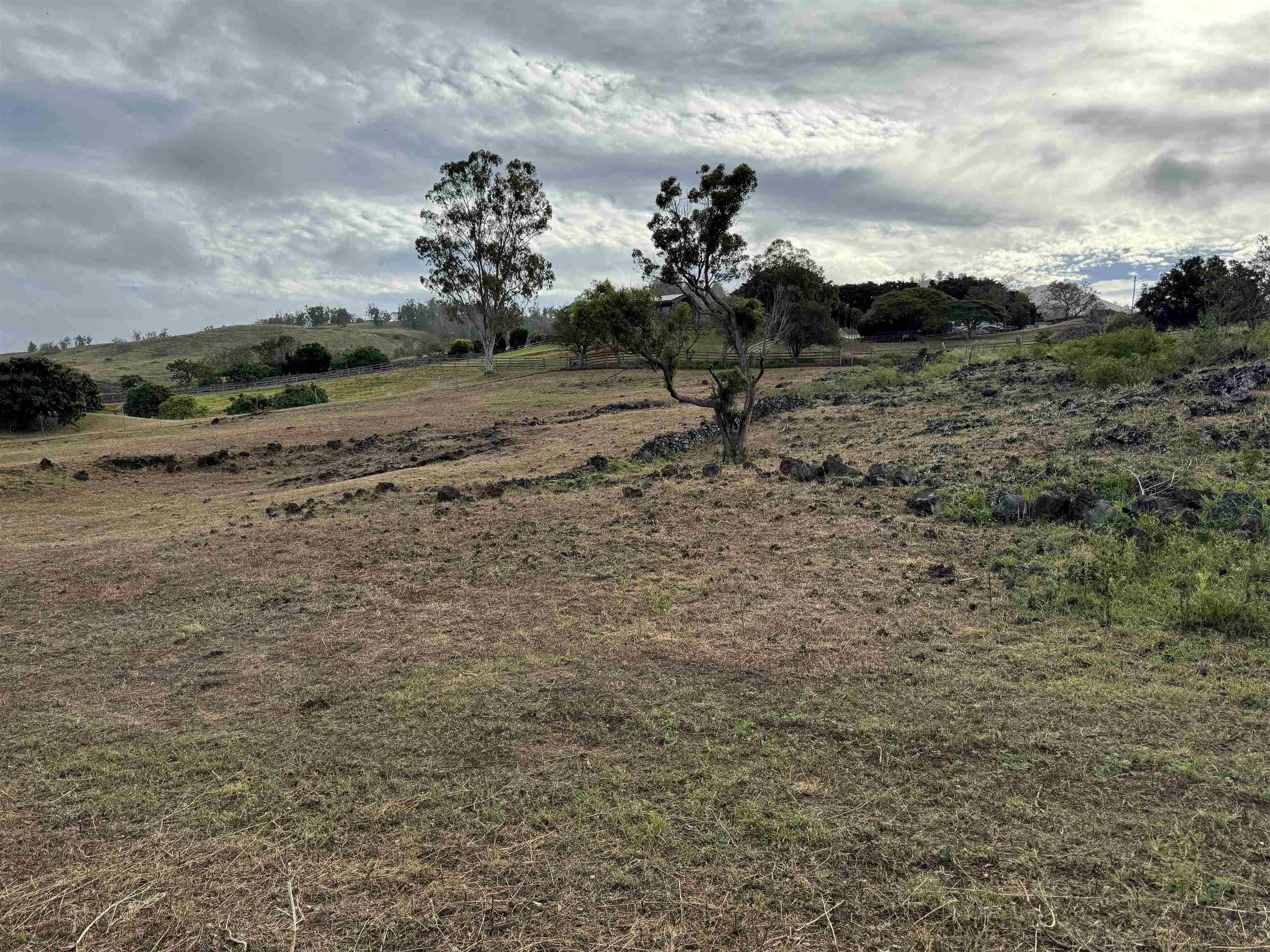 1521 Kanaio-kalama Park Rd Lot A Kula, Hi vacant land for sale - photo 24 of 24