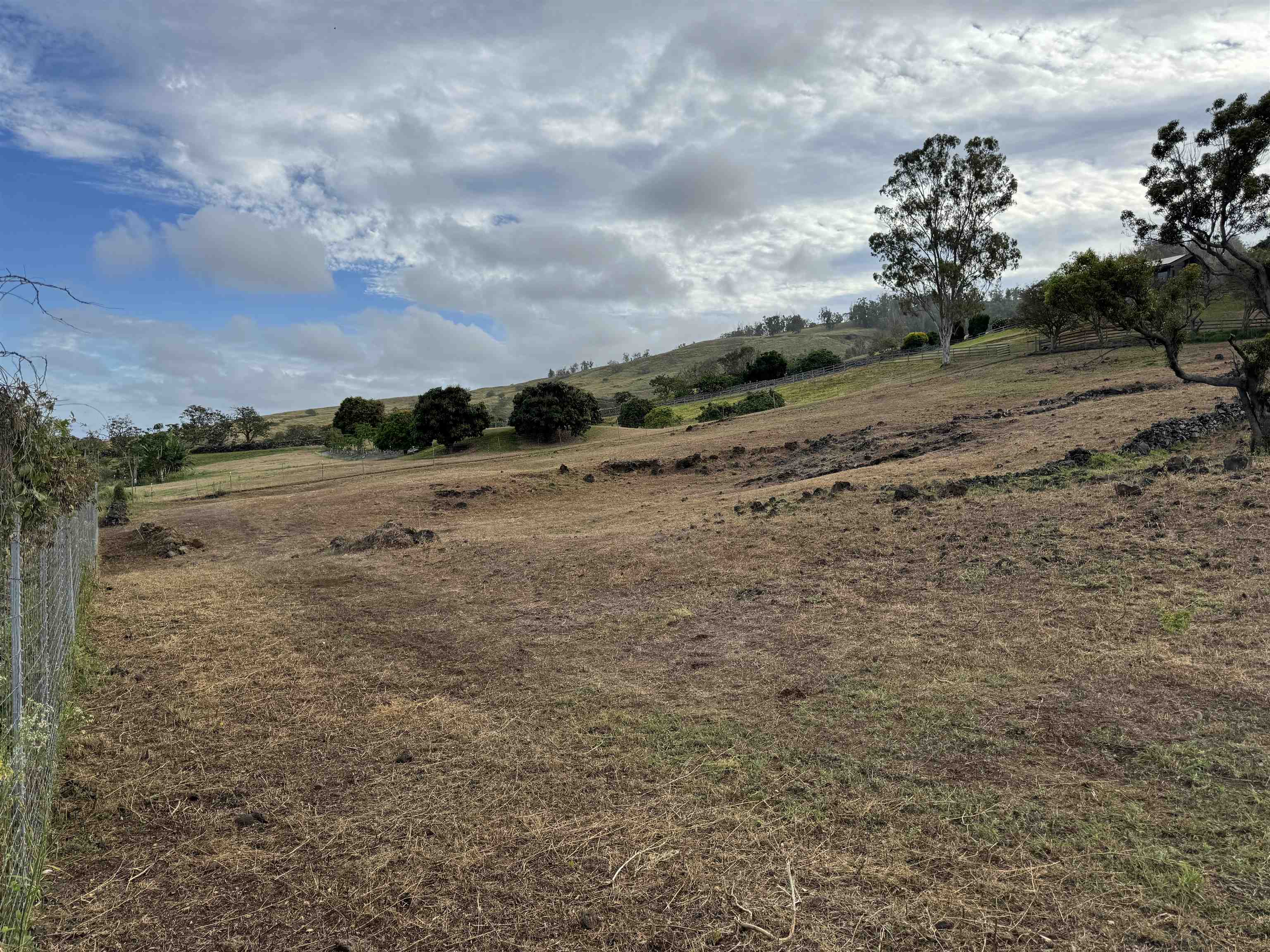 1521 Kanaio-kalama Park Rd Lot A Kula, Hi vacant land for sale - photo 25 of 29