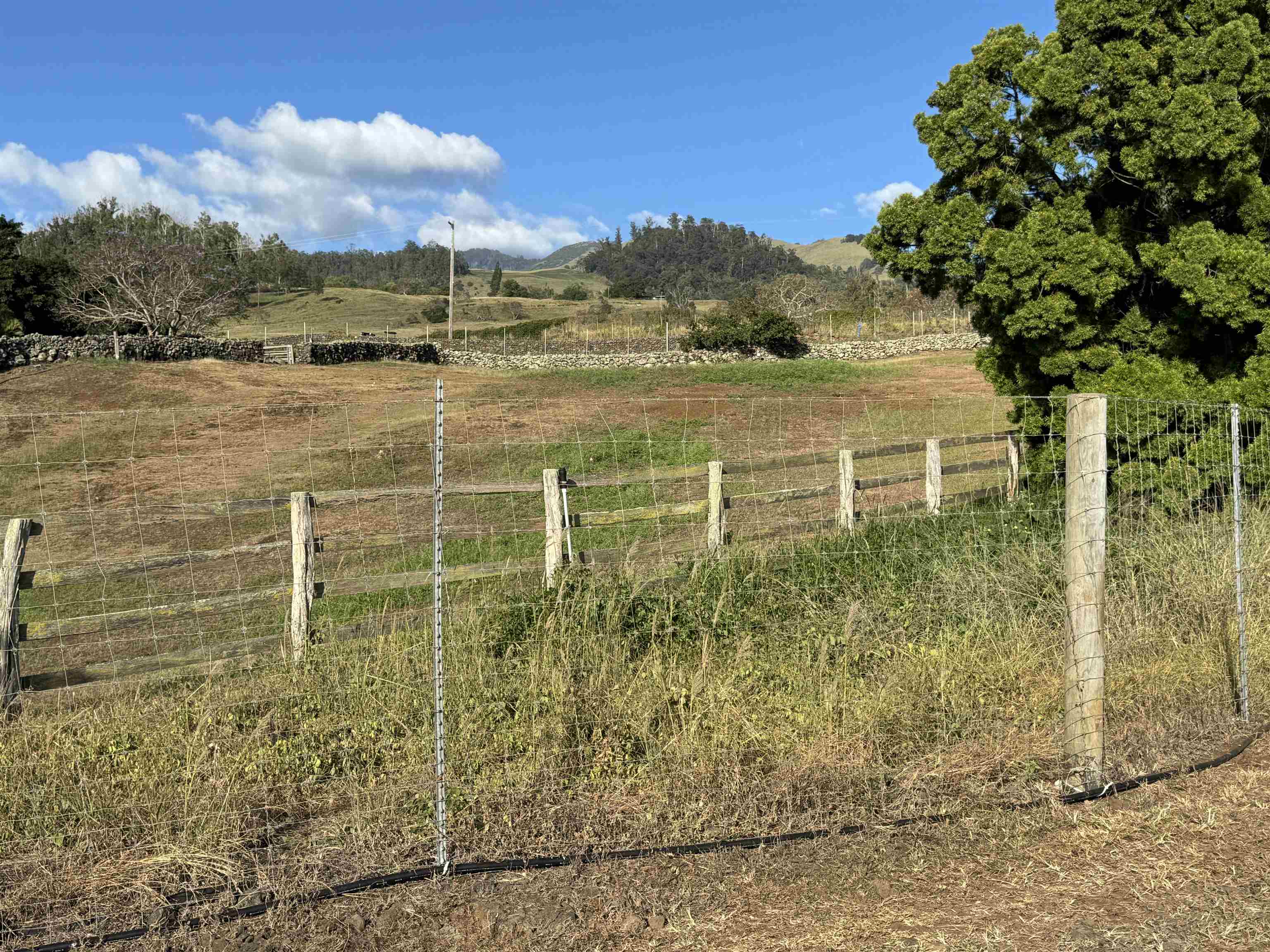 1521 Kanaio-kalama Park Rd Lot A Kula, Hi vacant land for sale - photo 27 of 29