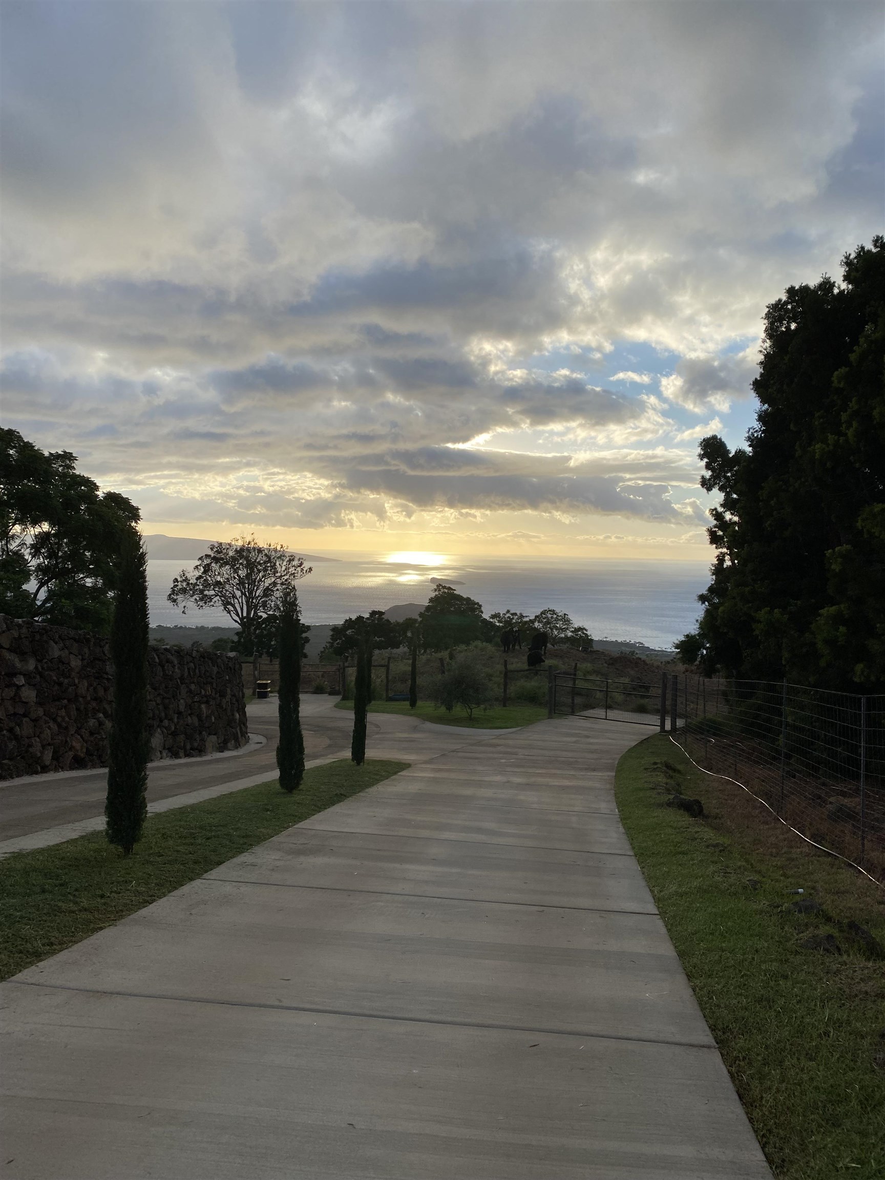 1521 Kanaio-kalama Park Rd Lot A Kula, Hi vacant land for sale - photo 13 of 30