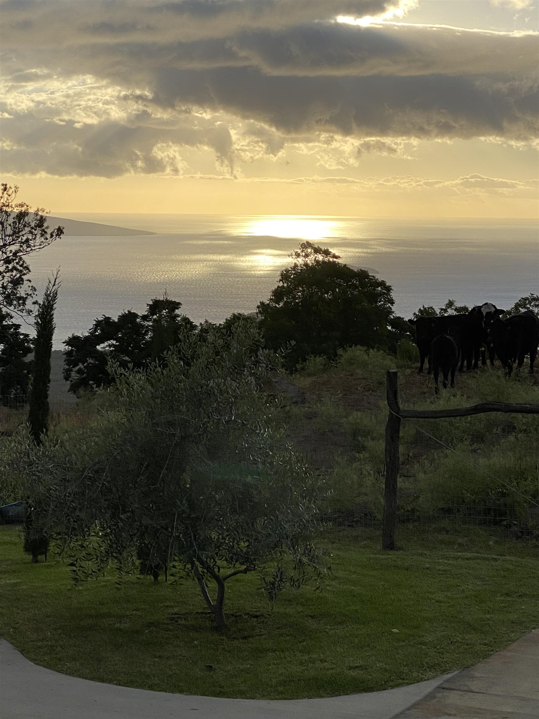 1521 Kanaio-kalama Park Rd Lot A Kula, Hi vacant land for sale - photo 14 of 30