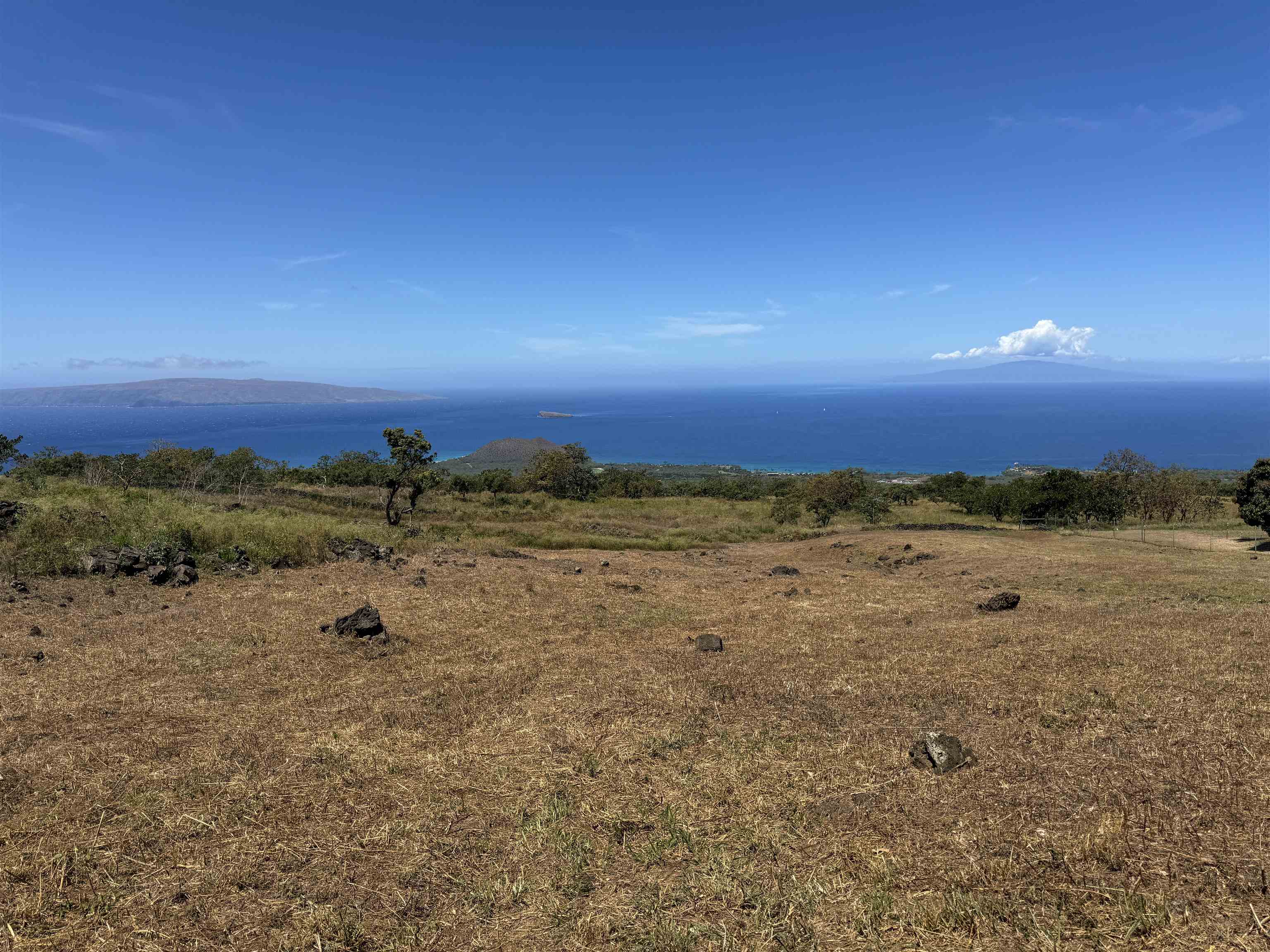 1521 Kanaio-kalama Park Rd Lot A Kula, Hi vacant land for sale - photo 18 of 30