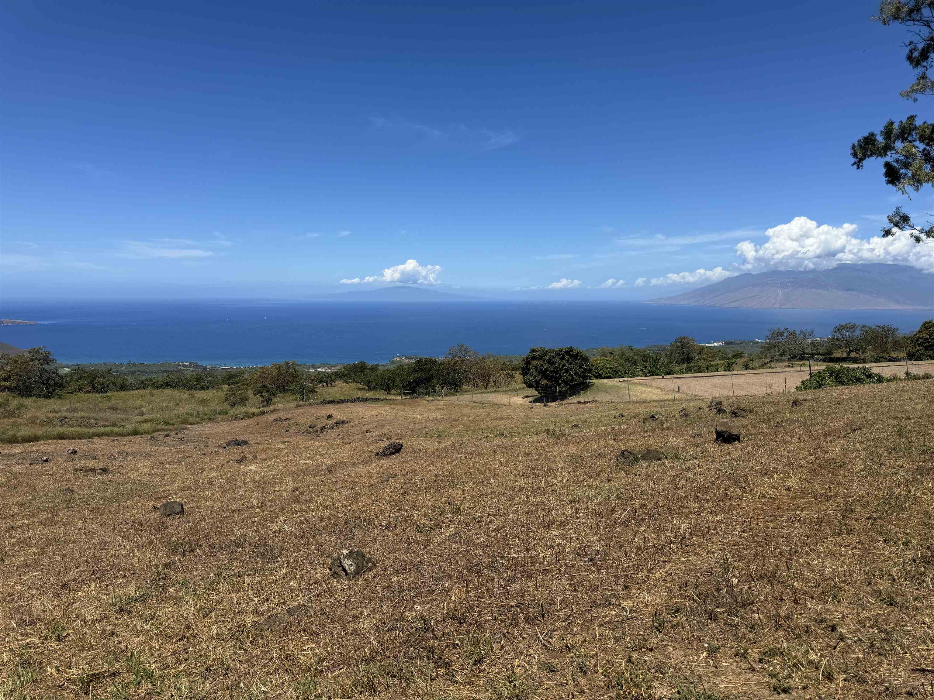 1521 Kanaio-kalama Park Rd Lot A Kula, Hi vacant land for sale - photo 19 of 30