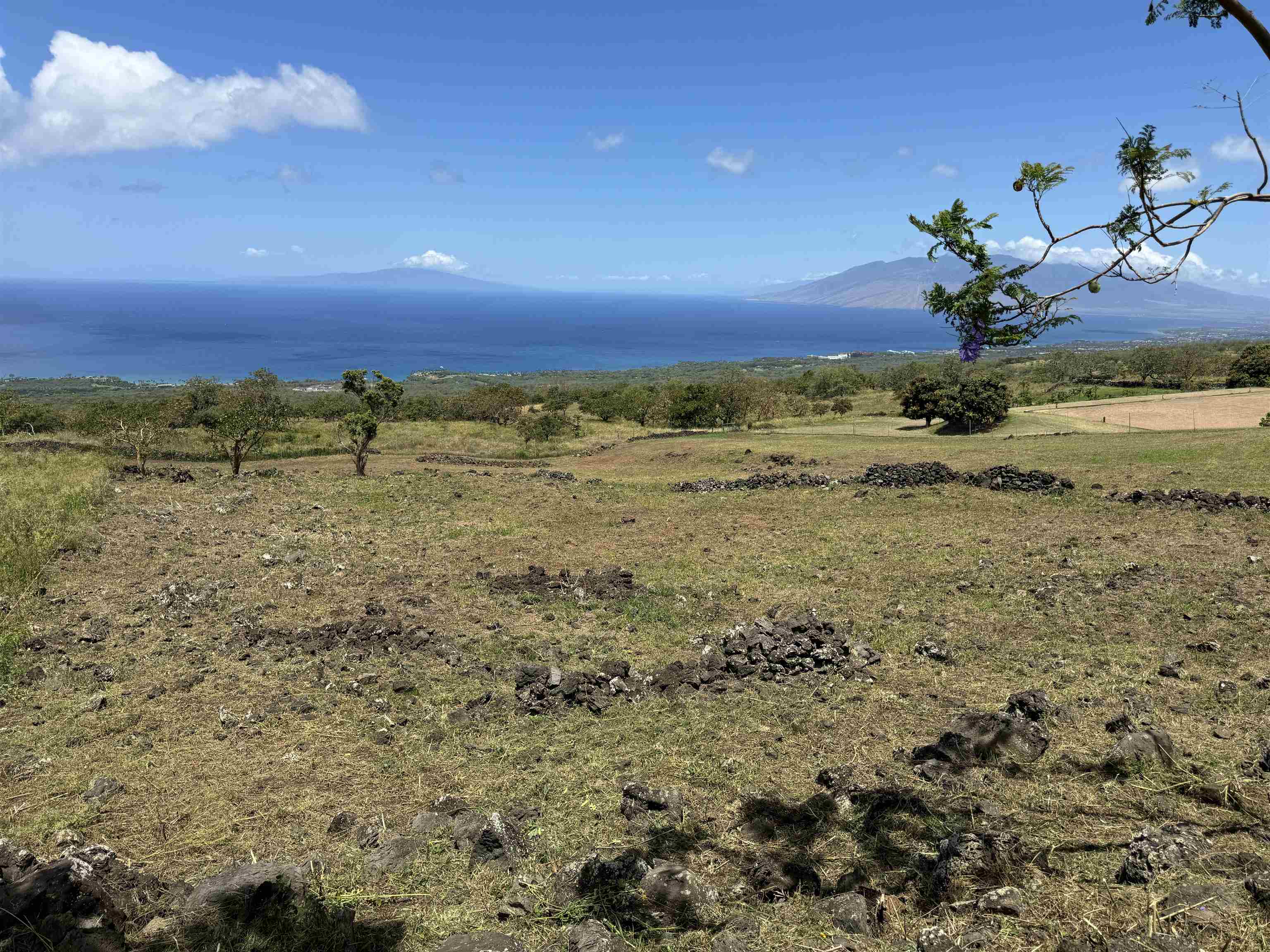 1521 Kanaio-kalama Park Rd Lot A Kula, Hi vacant land for sale - photo 3 of 30
