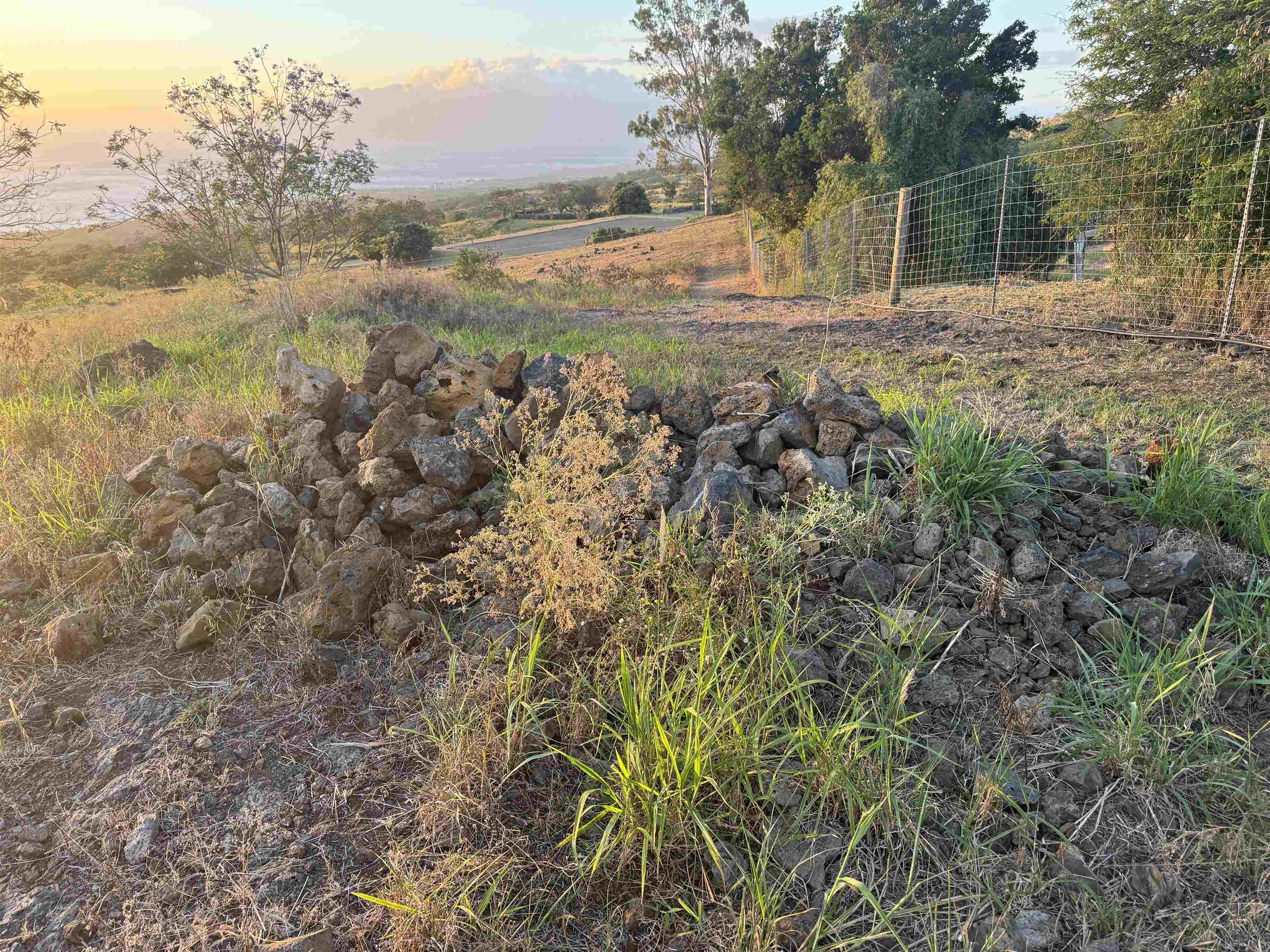 1521 Kanaio-kalama Park Rd Lot A Kula, Hi vacant land for sale - photo 27 of 30